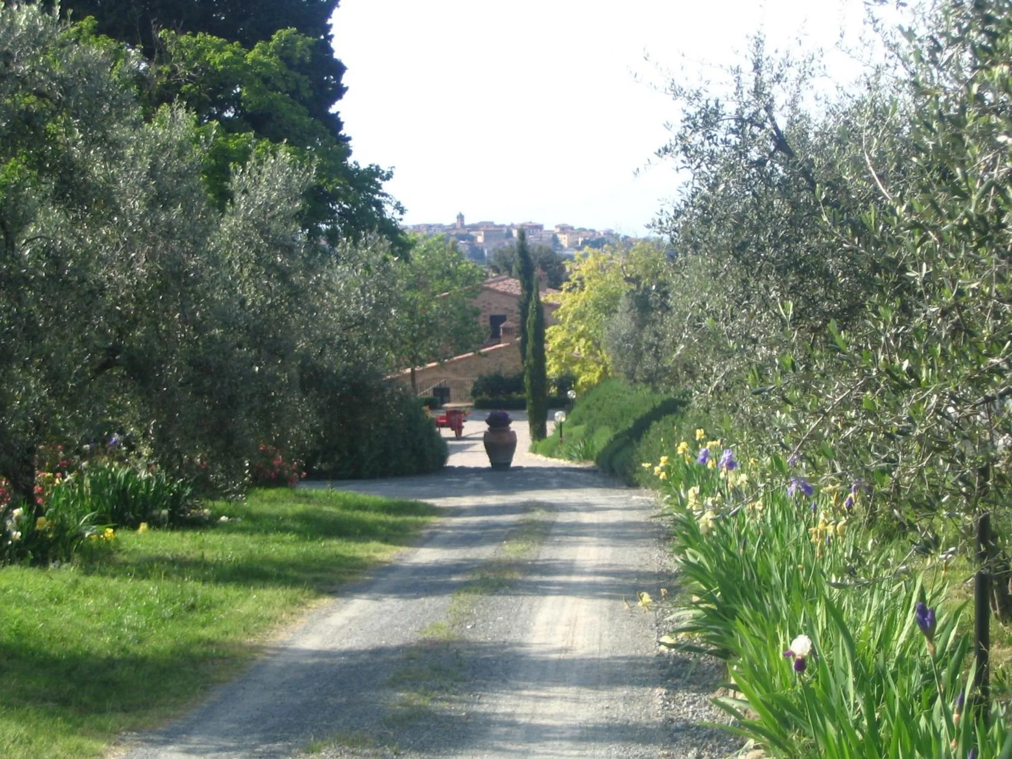 Day in Podere La Casetta - Casa di Campagna