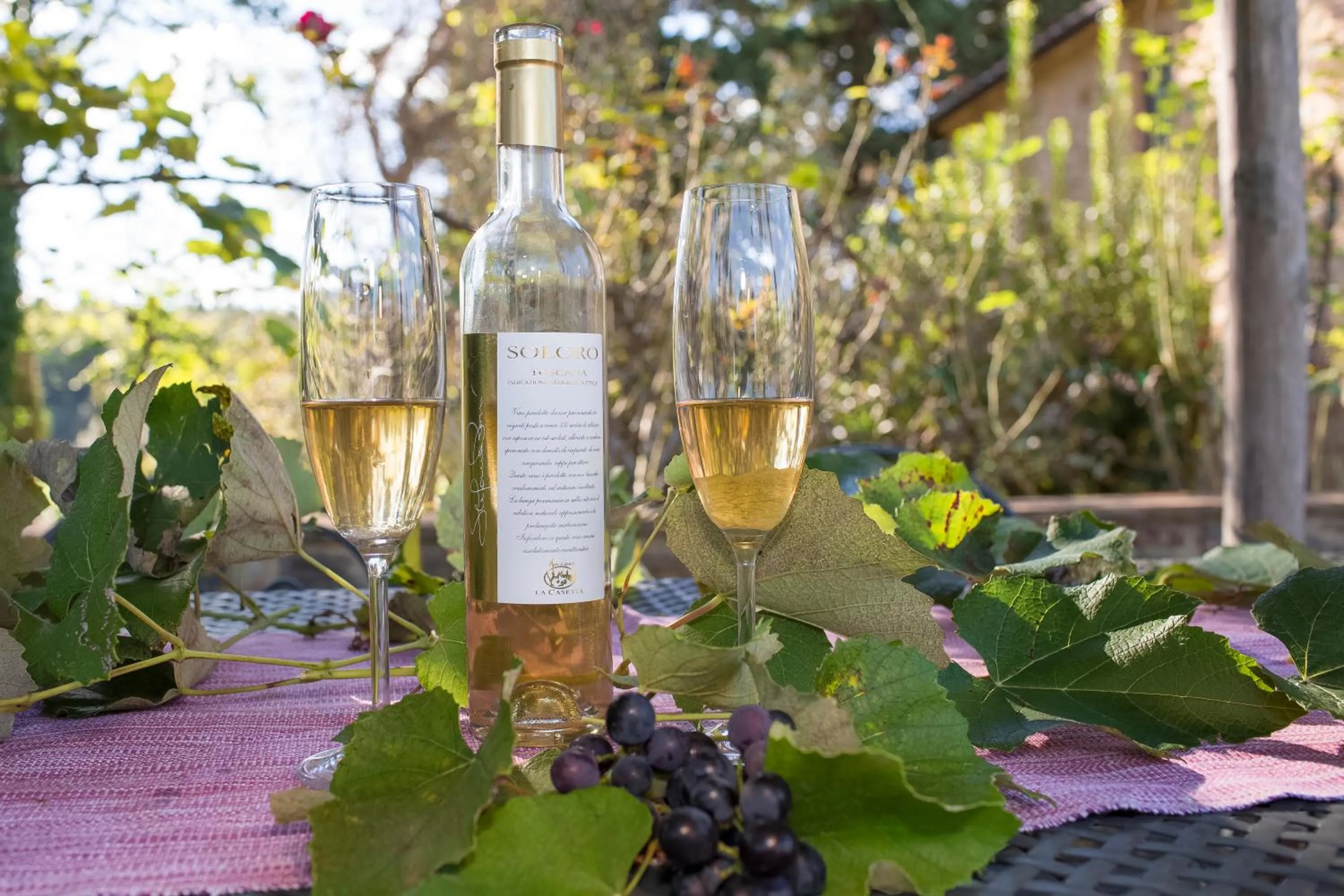 Podere La Casetta - Casa di Campagna