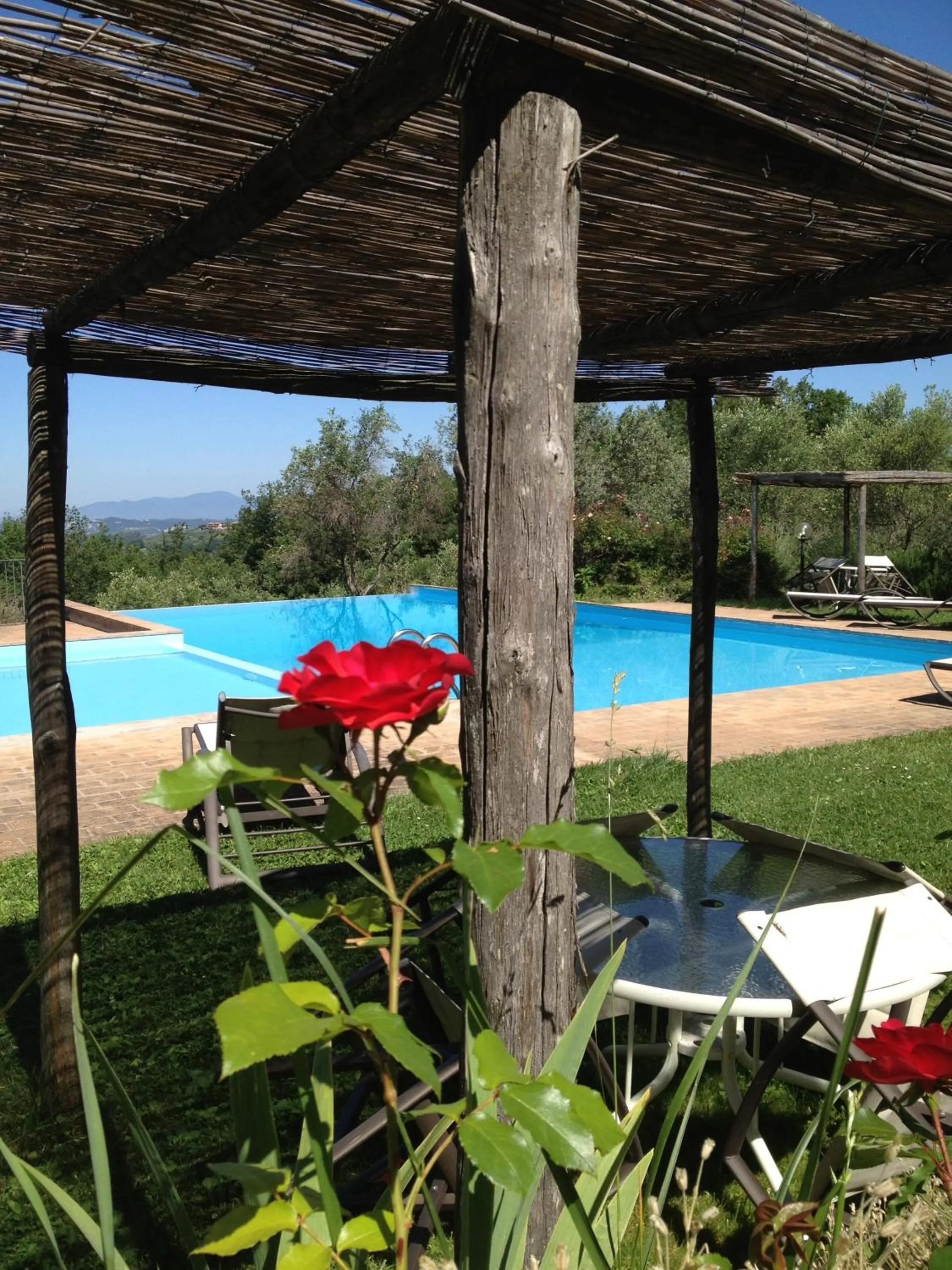 Swimming pool in Podere La Casetta - Casa di Campagna