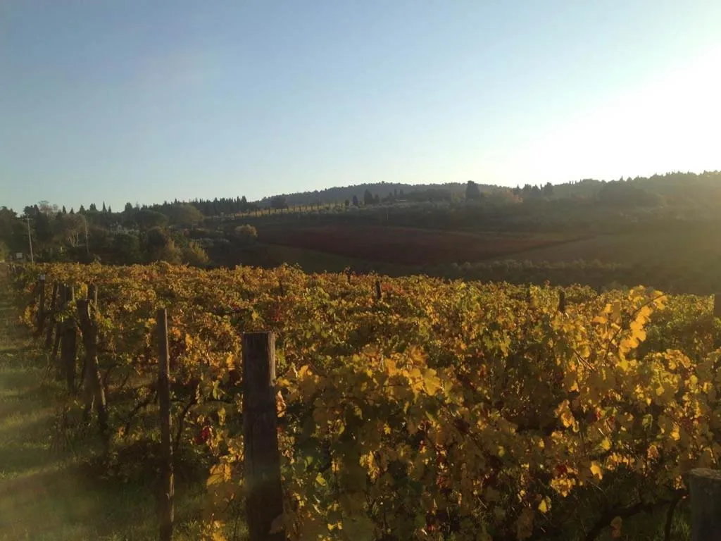 Podere La Casetta - Casa di Campagna