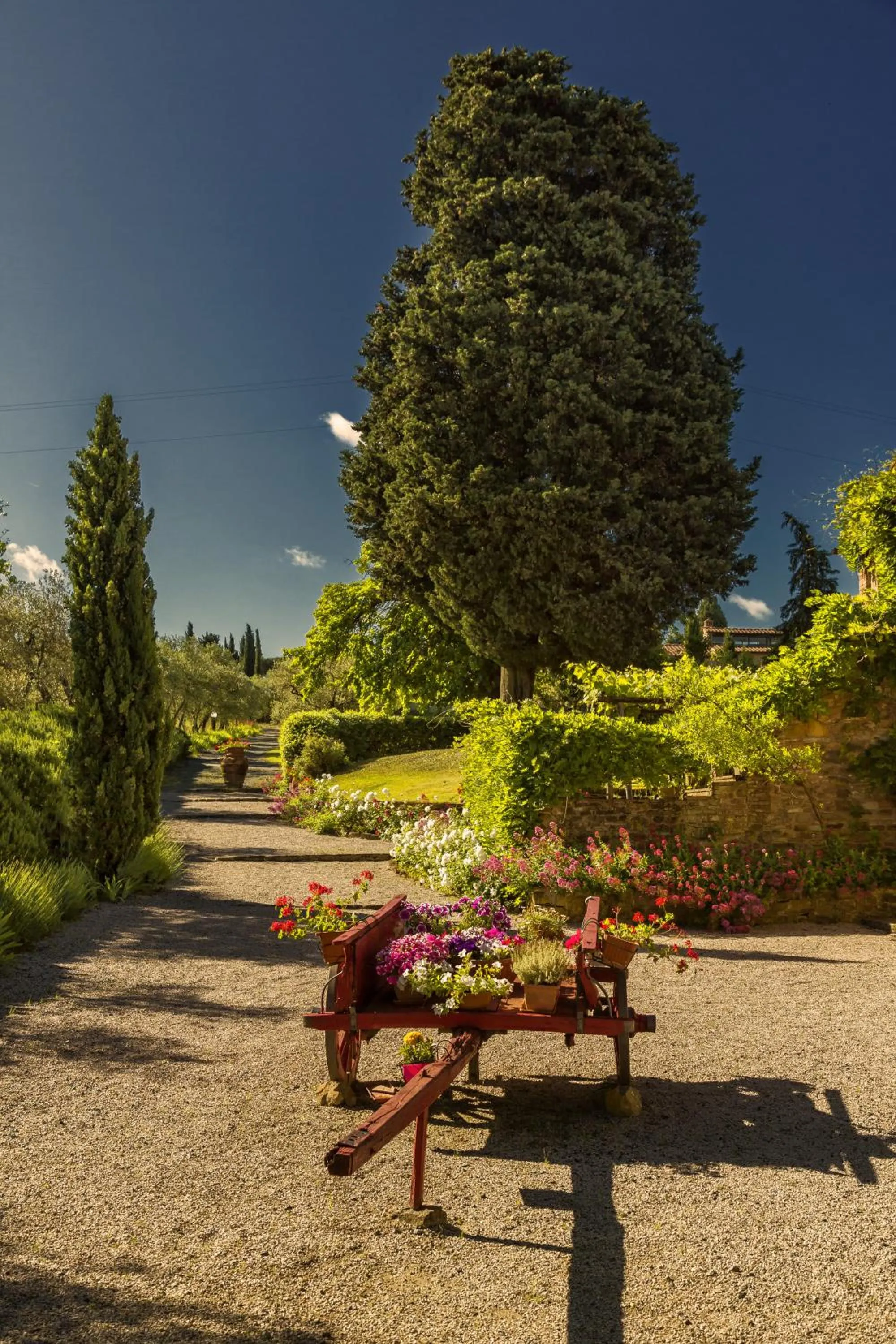 Podere La Casetta - Casa di Campagna