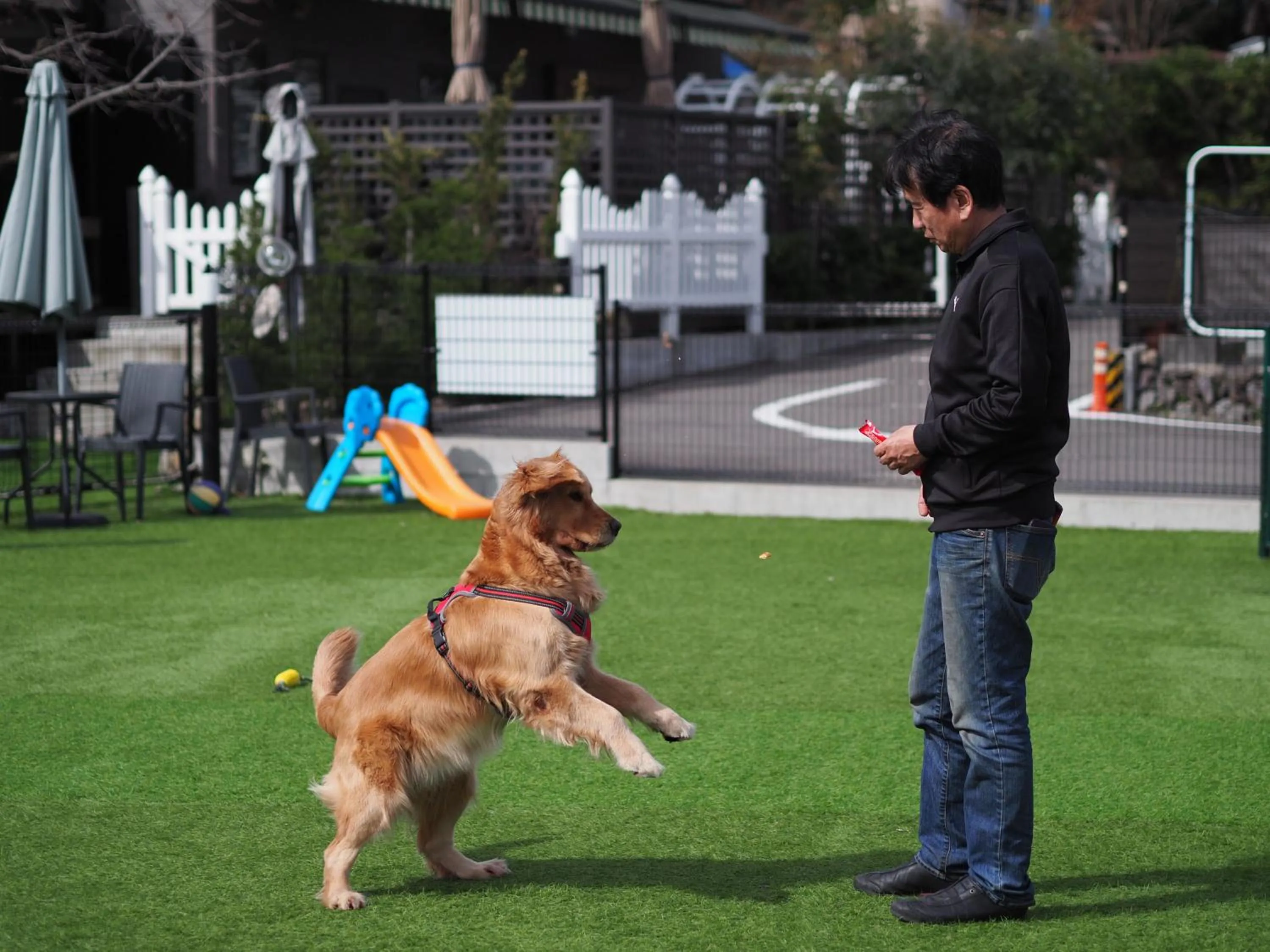 Animals in Yufuin Lamp no Yado