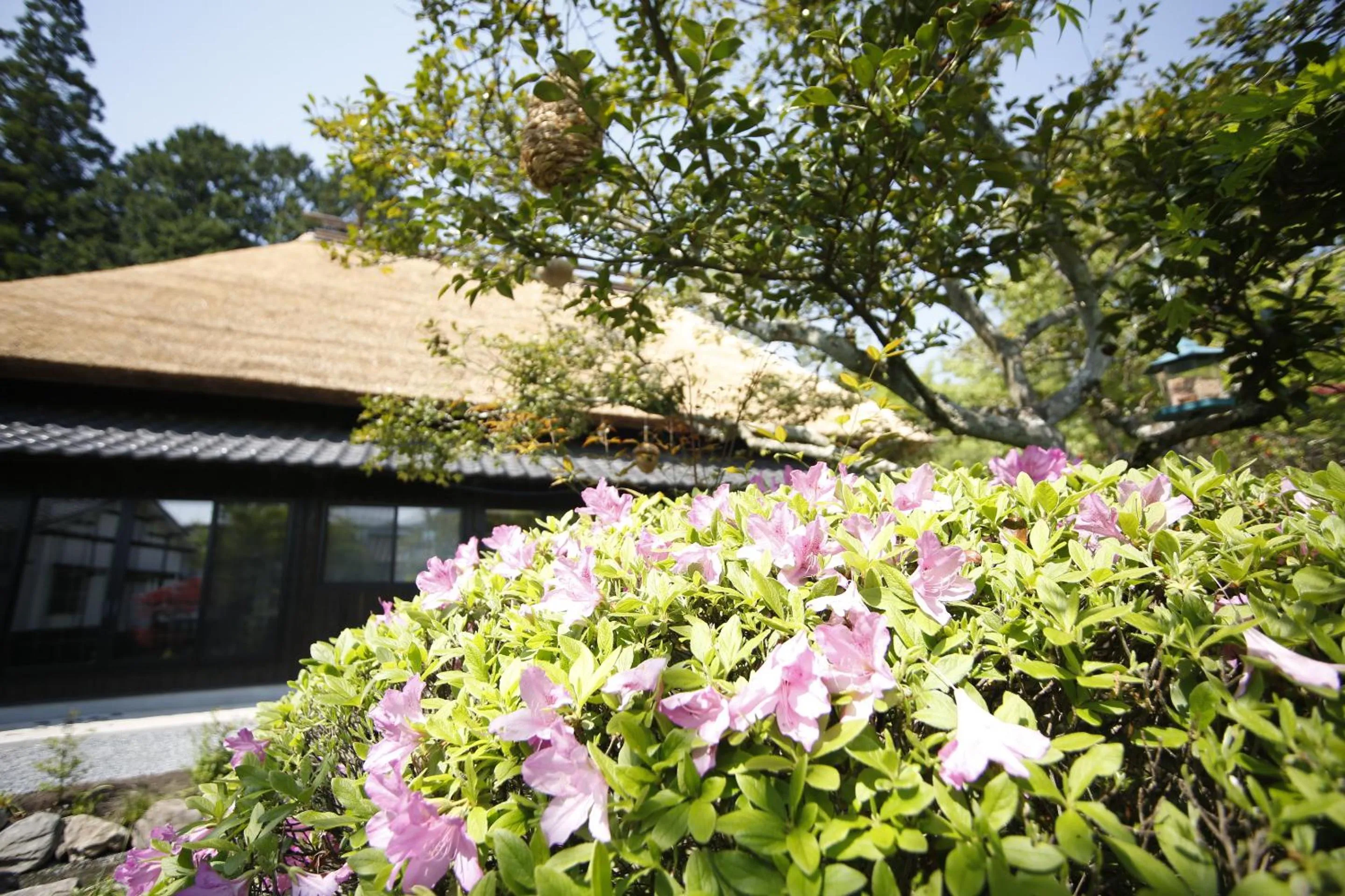 Property building in Yufuin Lamp no Yado