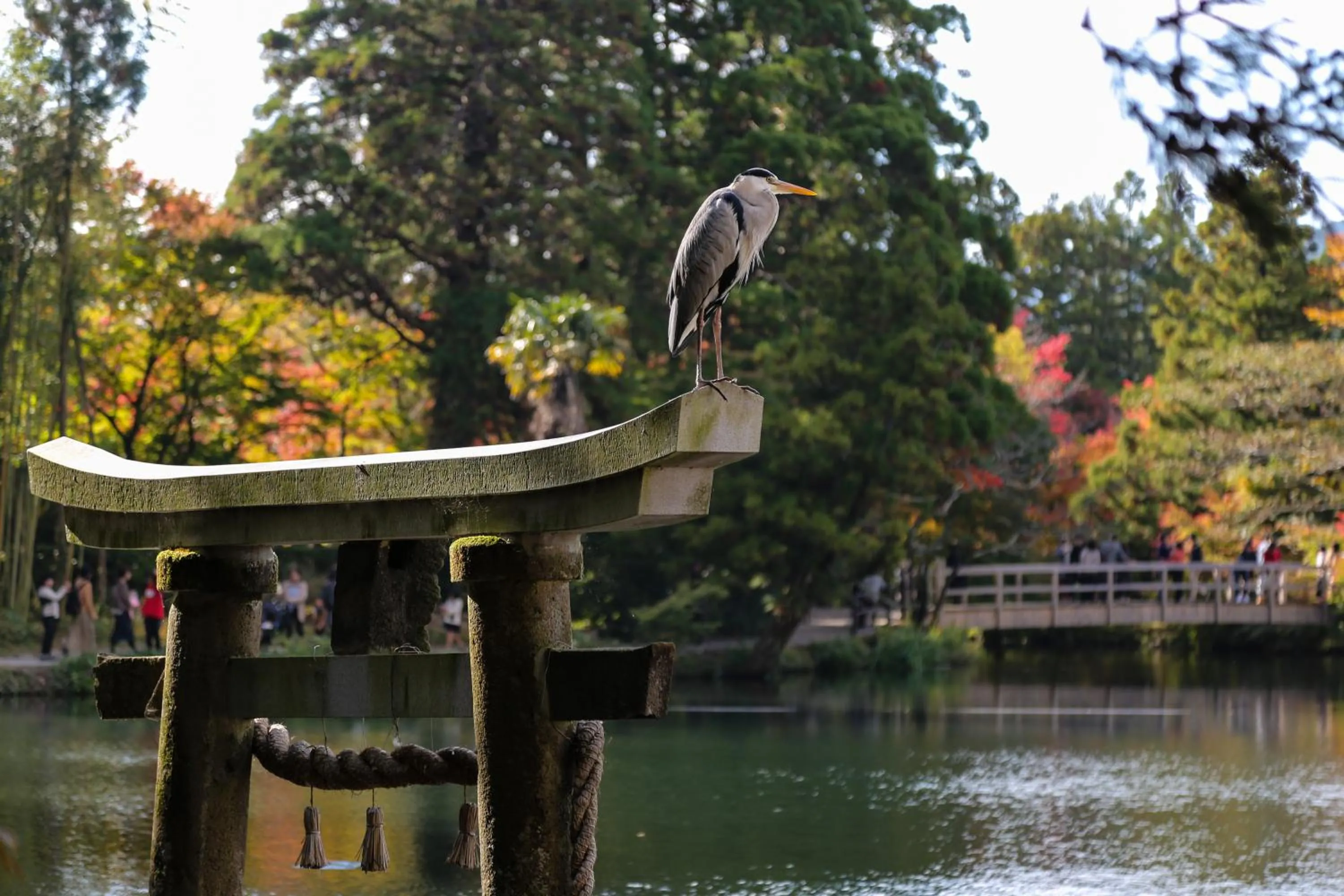 Nearby landmark in Yufuin Lamp no Yado