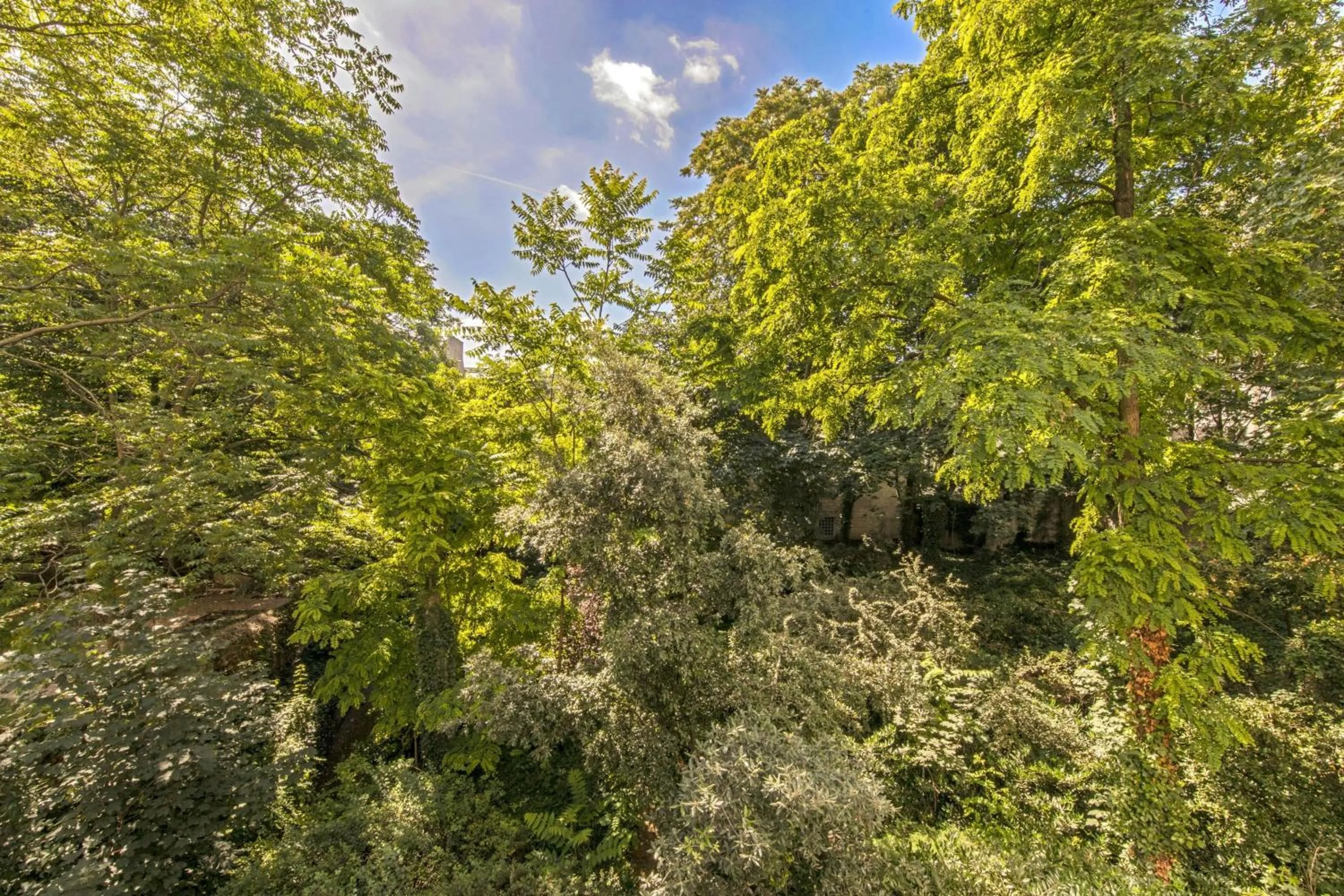 Photo of the whole room in Hôtel de Berri Champs-Élysées, a Luxury Collection Hotel