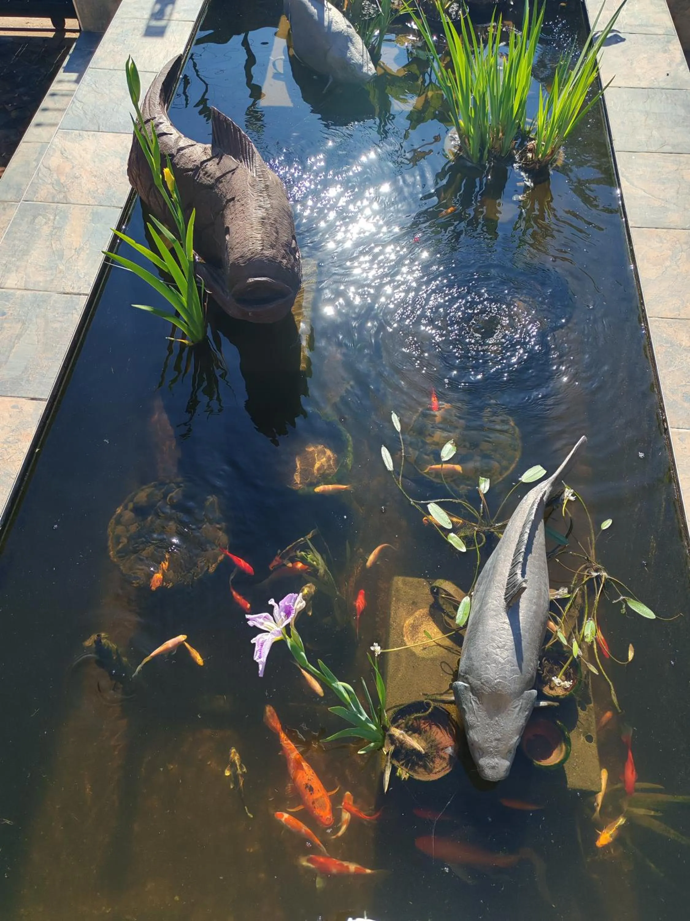 Day in Three Olives Guesthouse