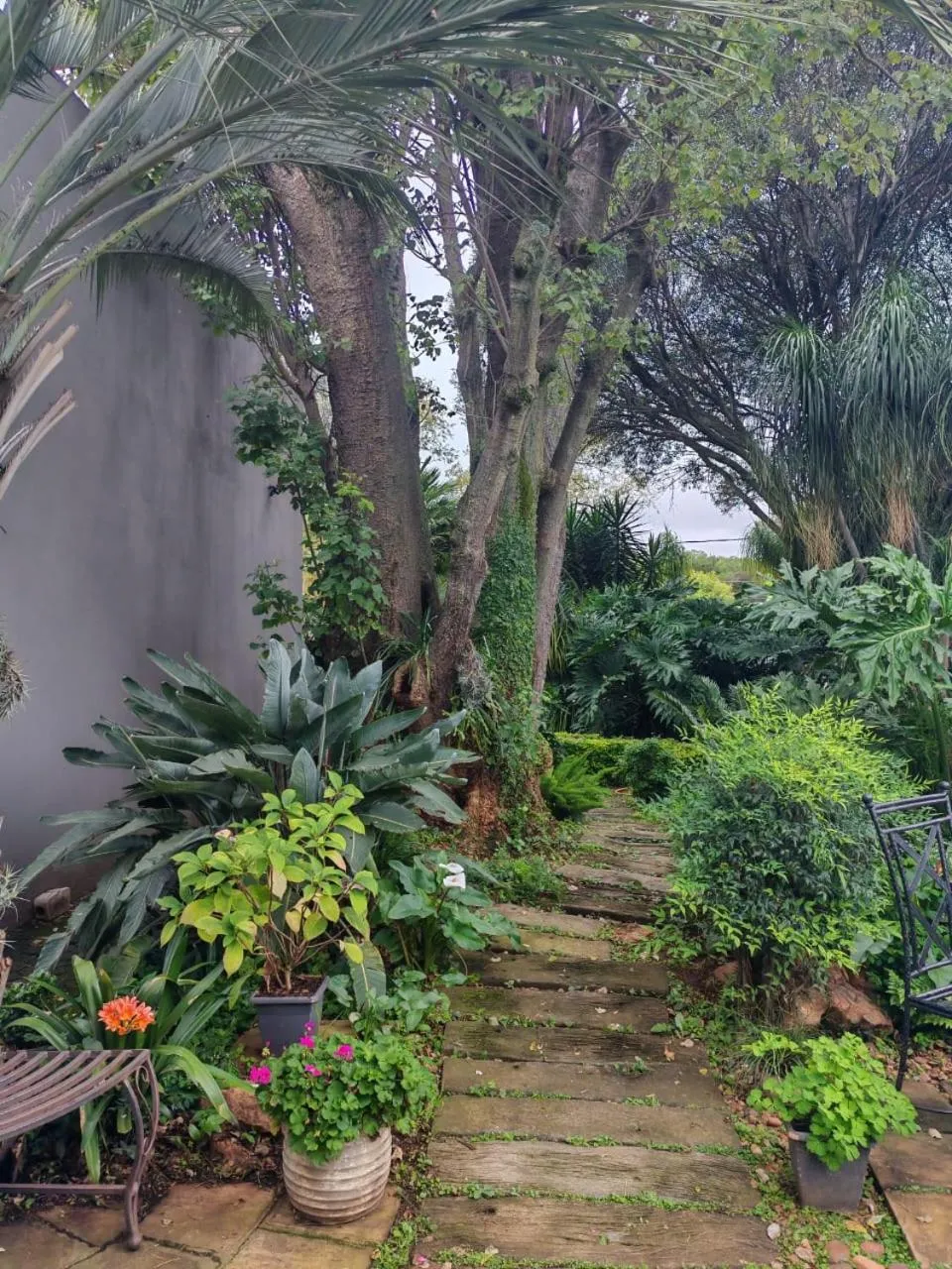 Garden in Three Olives Guesthouse