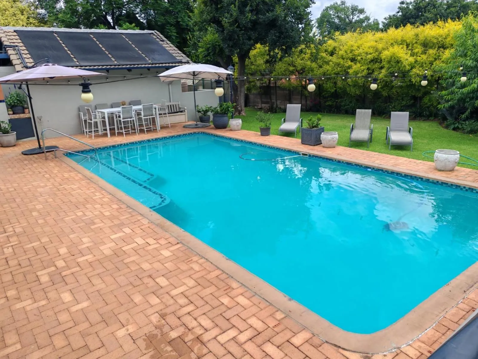 Swimming pool in Three Olives Guesthouse