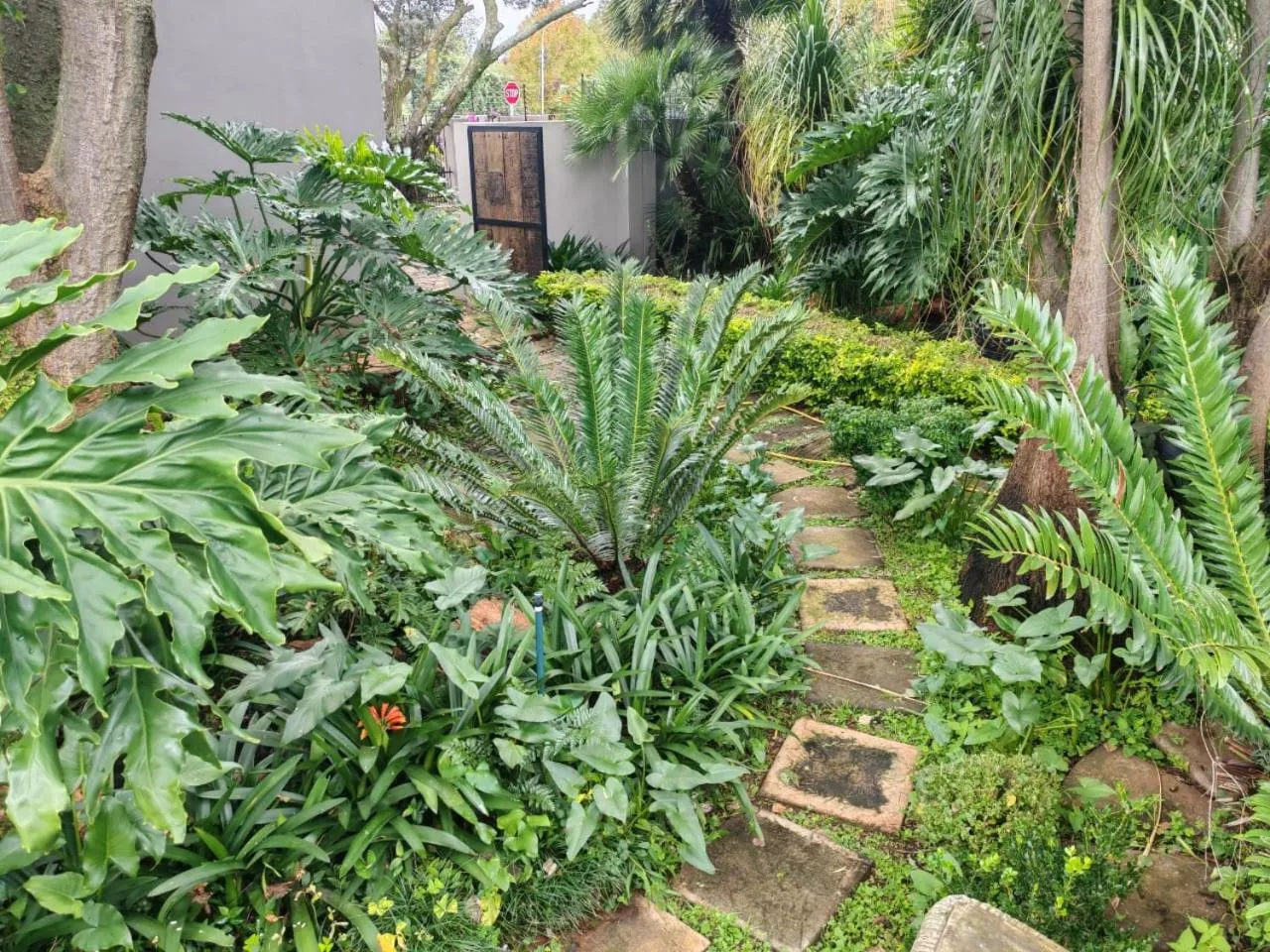 Garden in Three Olives Guesthouse