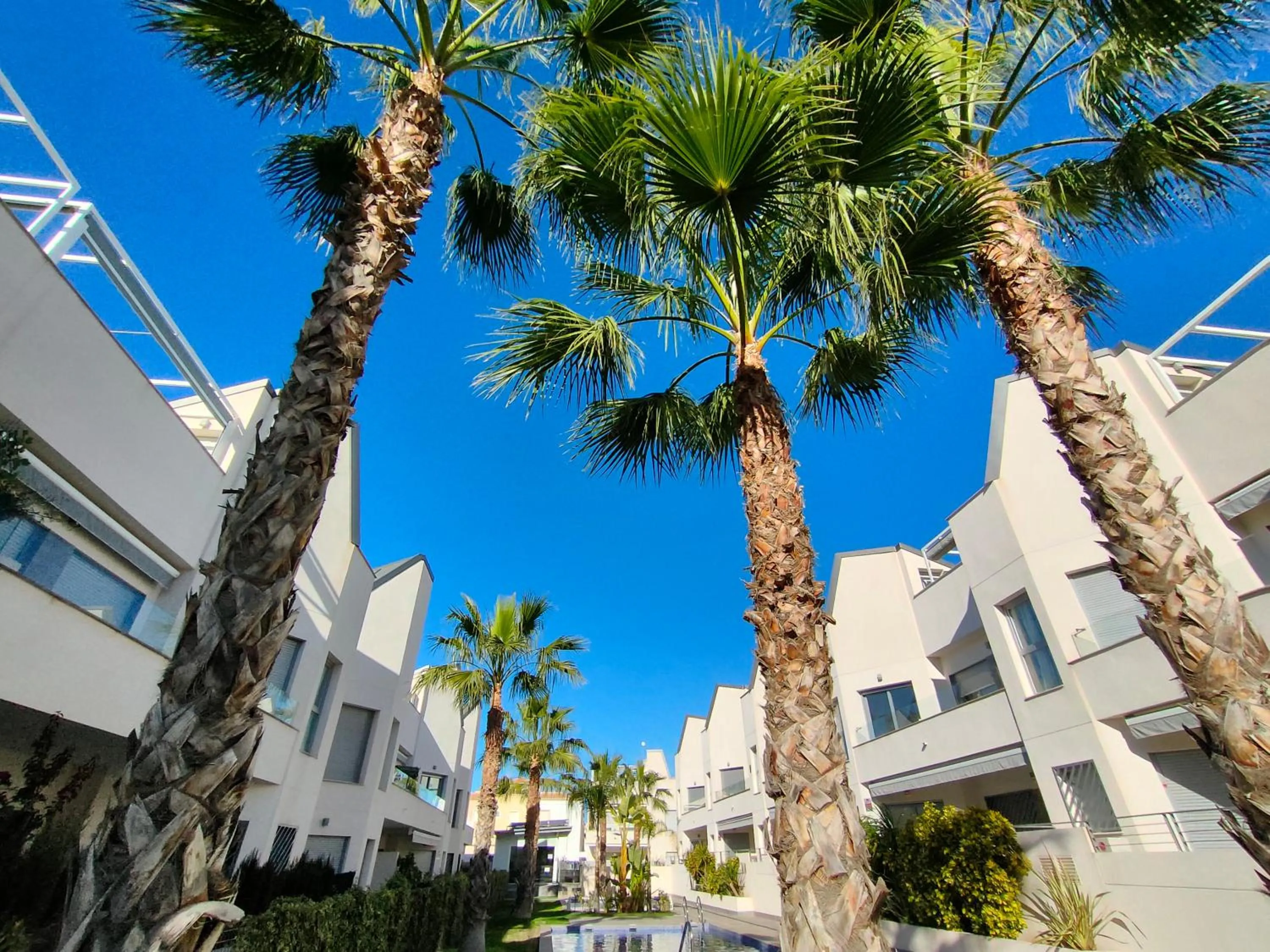 Property building in Villa Amalia Eco