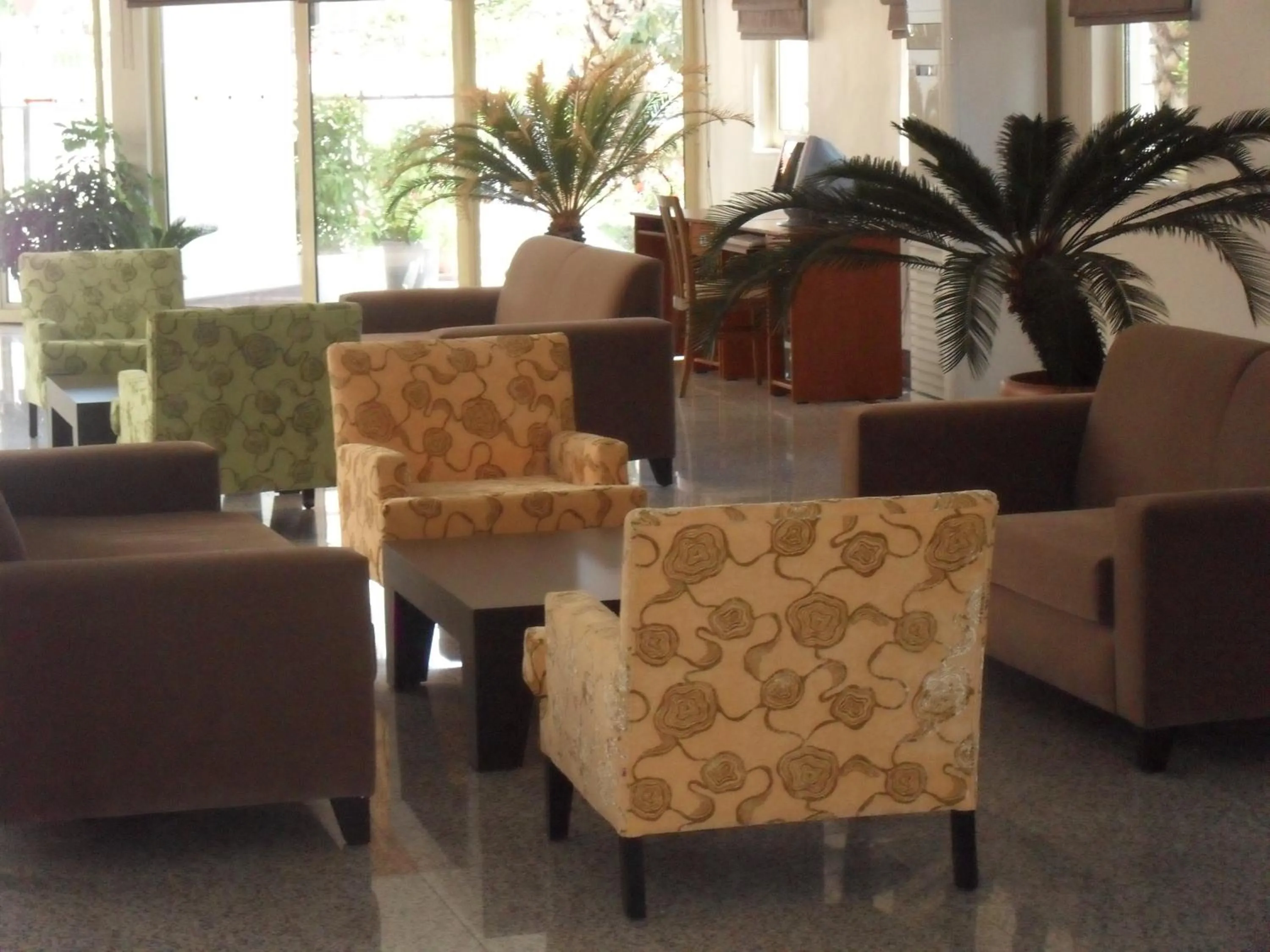 Garden in Side Palm D'or Hotel