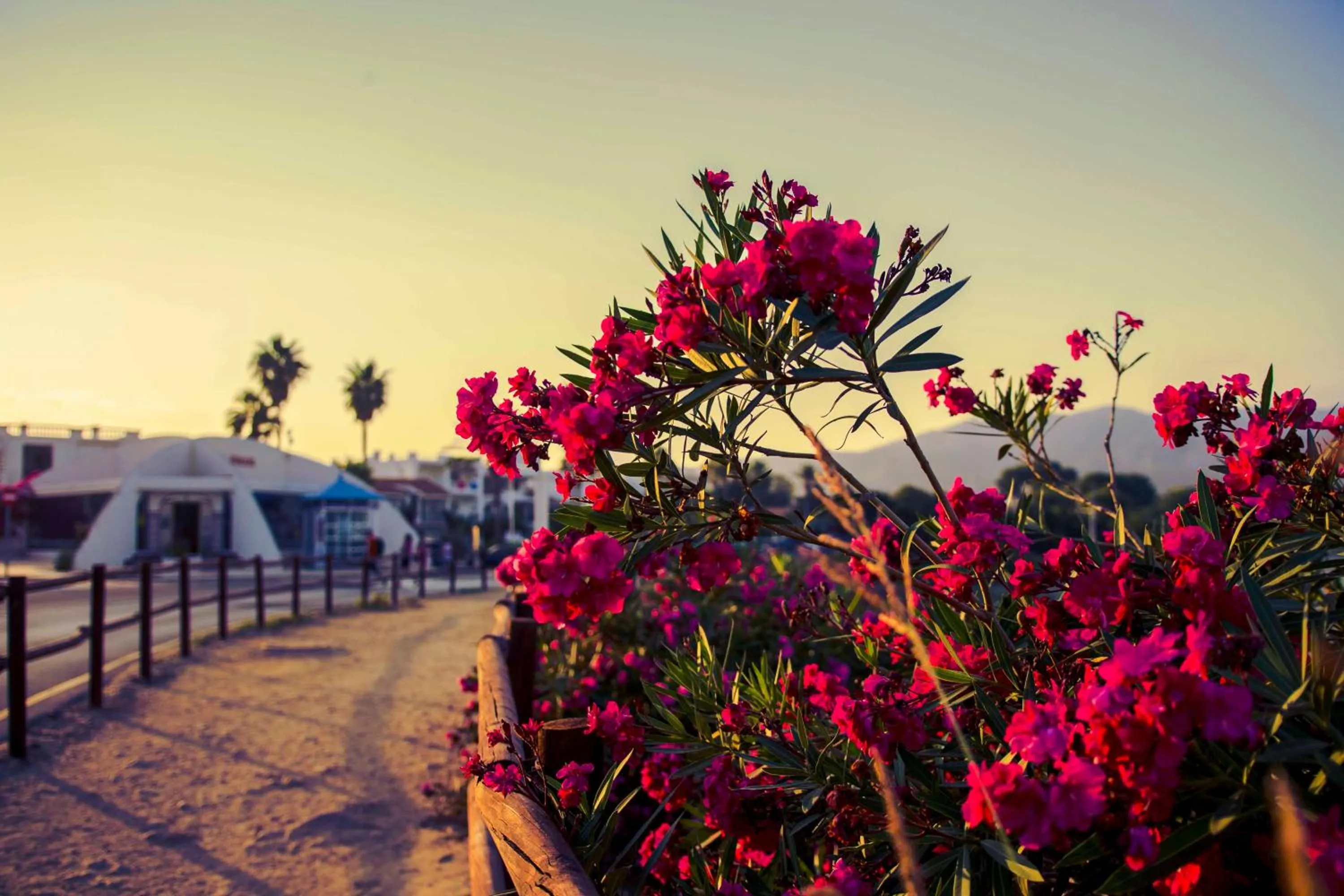 Natural landscape in Kione Villamar