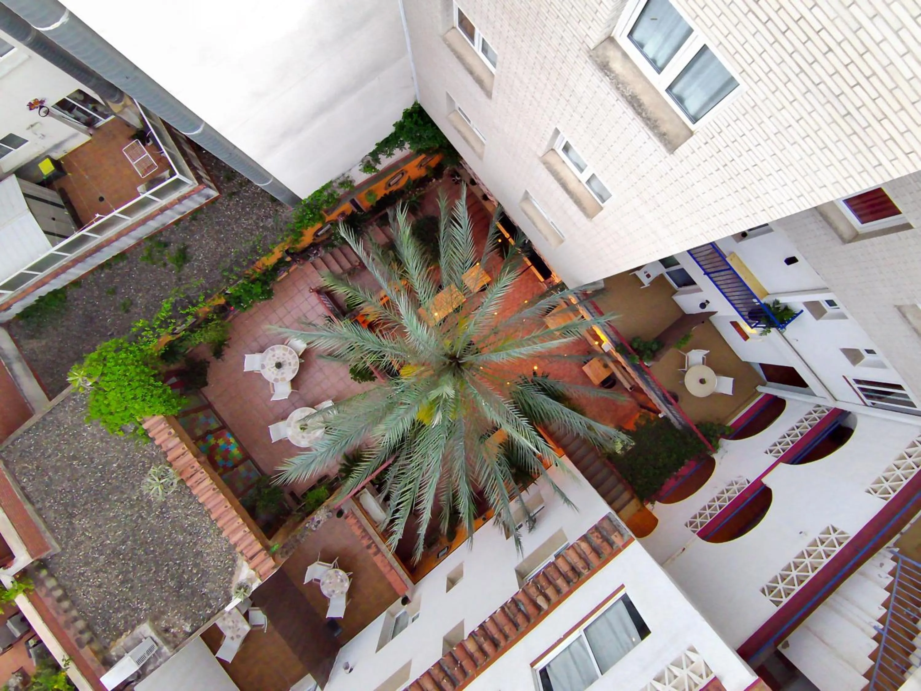 Garden in El Camí Hotel