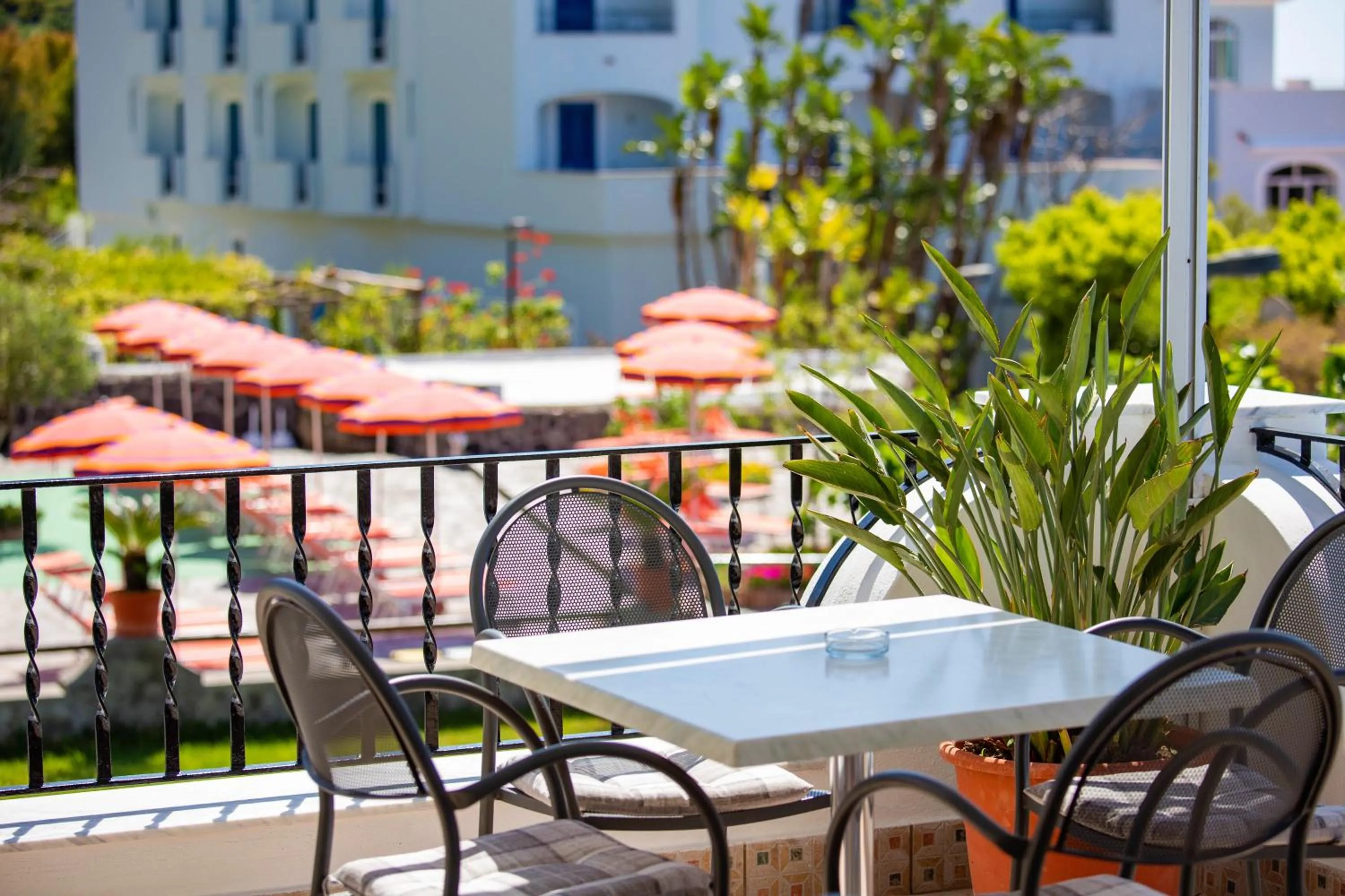 Day in Hotel La Mandorla