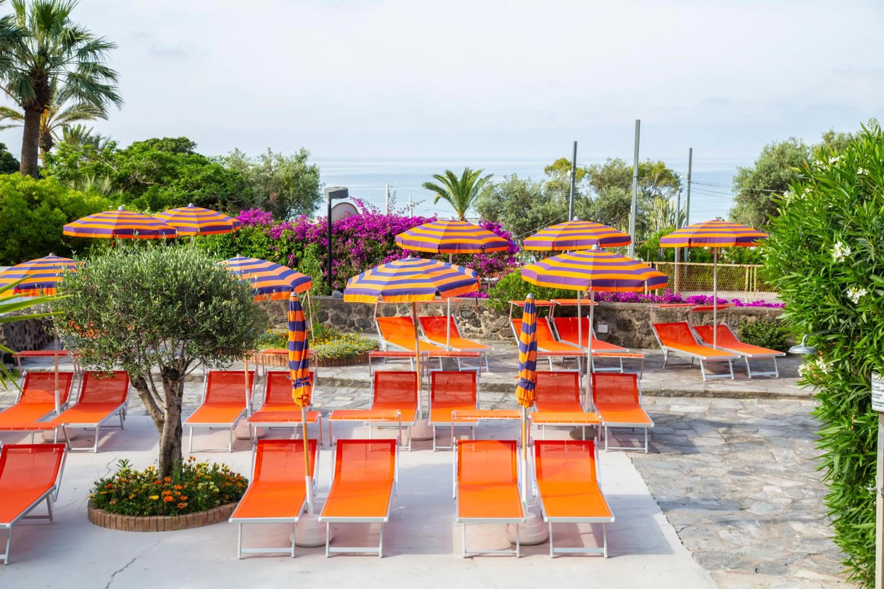 Pool view in Hotel La Mandorla