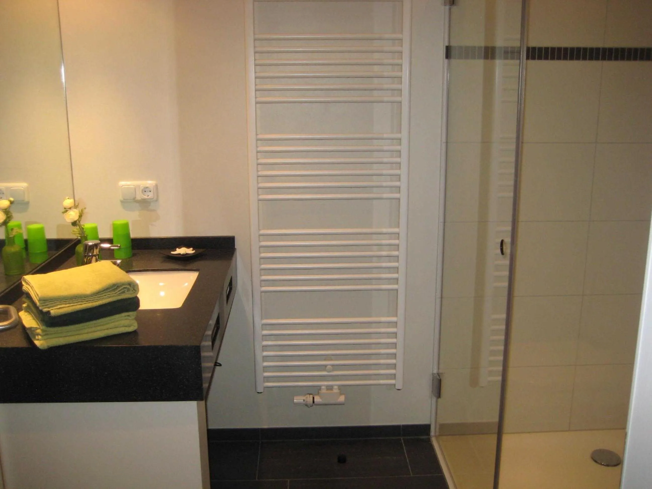Shower in Appartementhaus Westwind