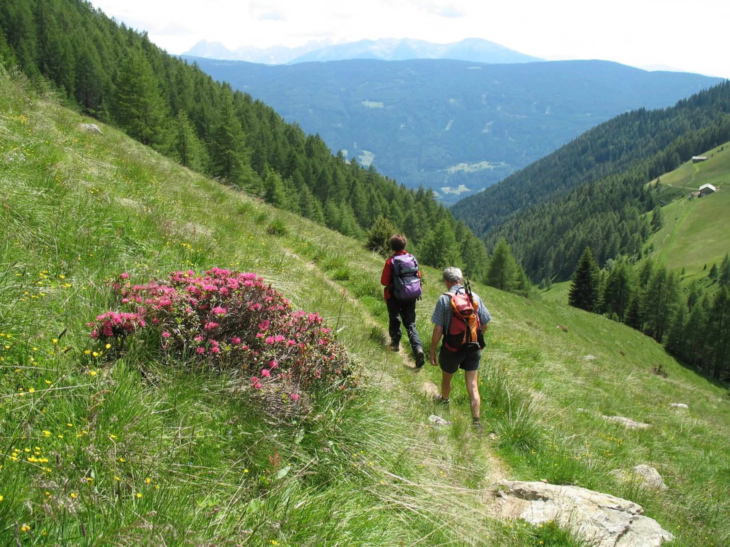 Hiking in Residence Terentis