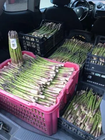 Restaurant/places to eat in Hotel Ciocca