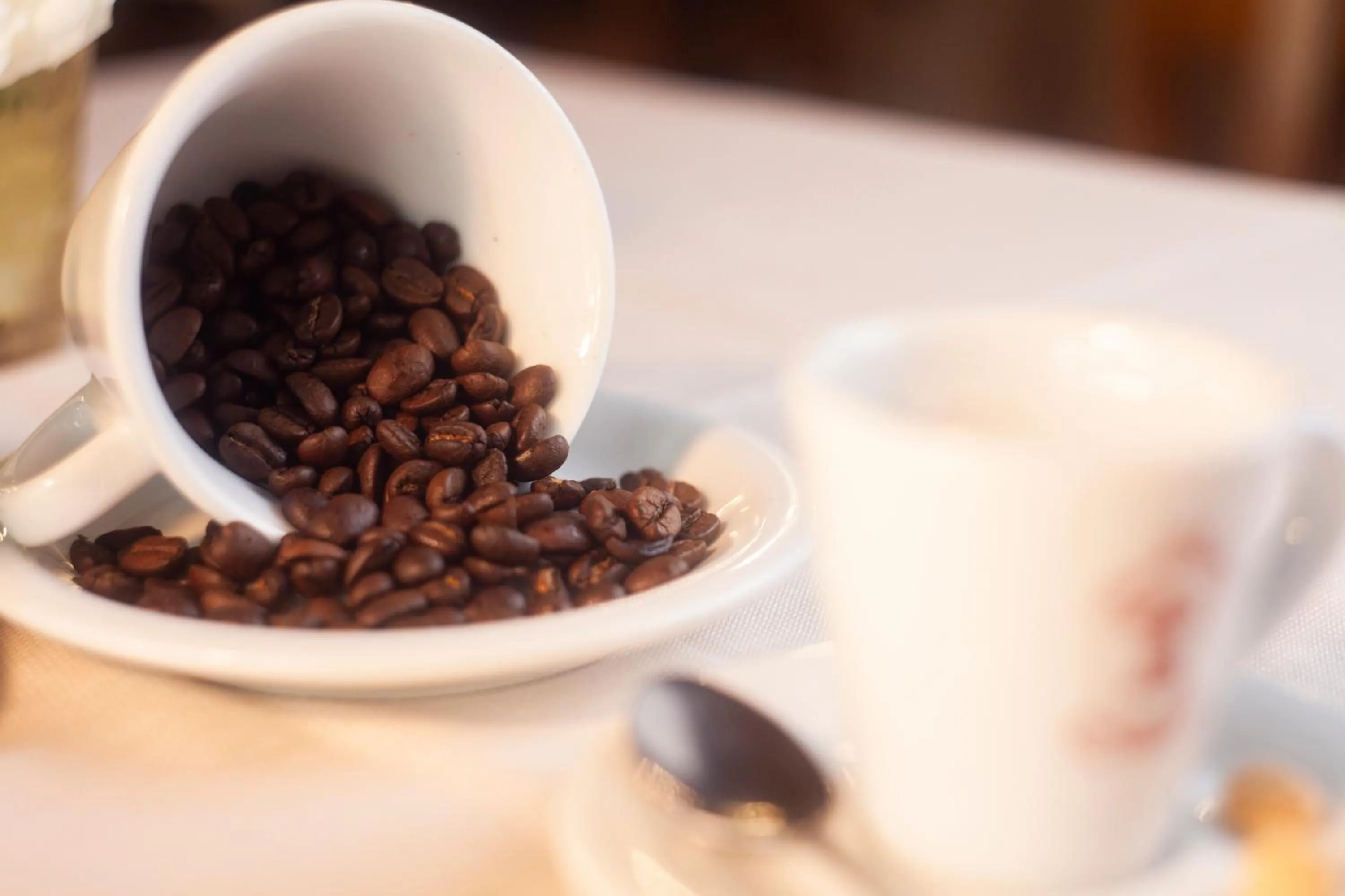 Food and drinks in Hotel Ciocca