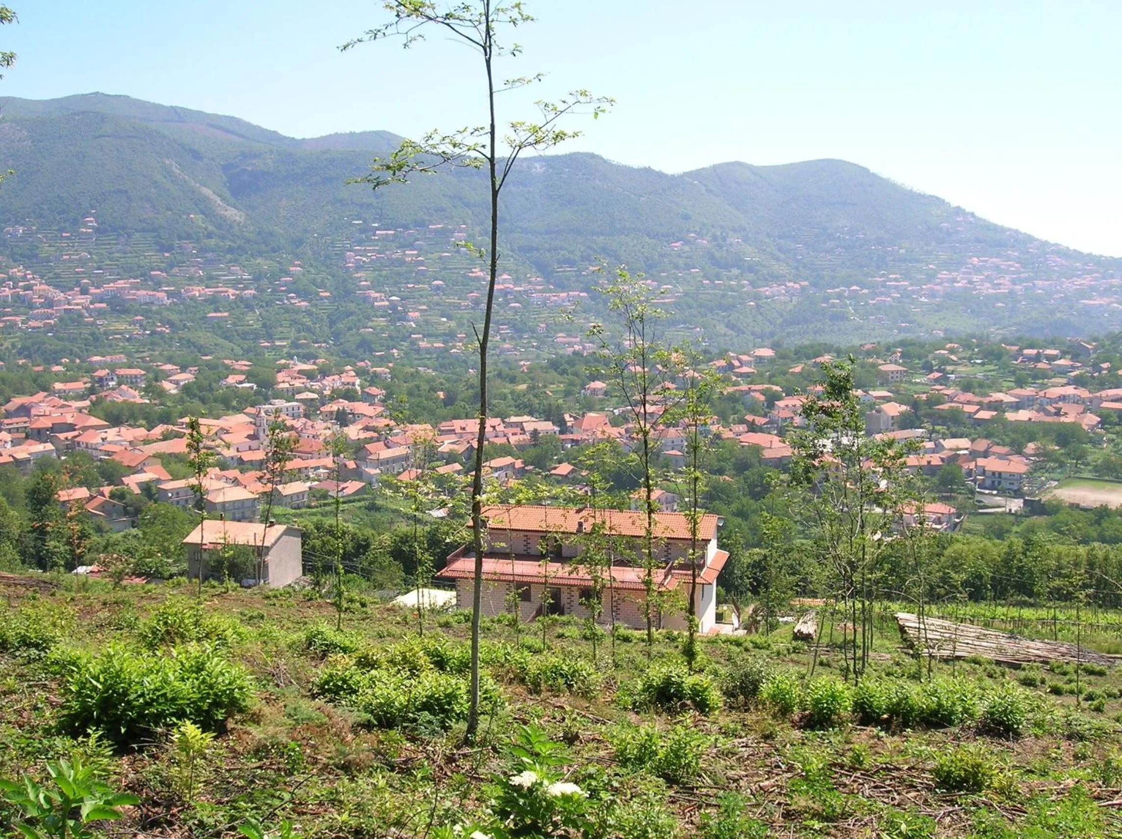 View (from property/room) in Casa Pendola