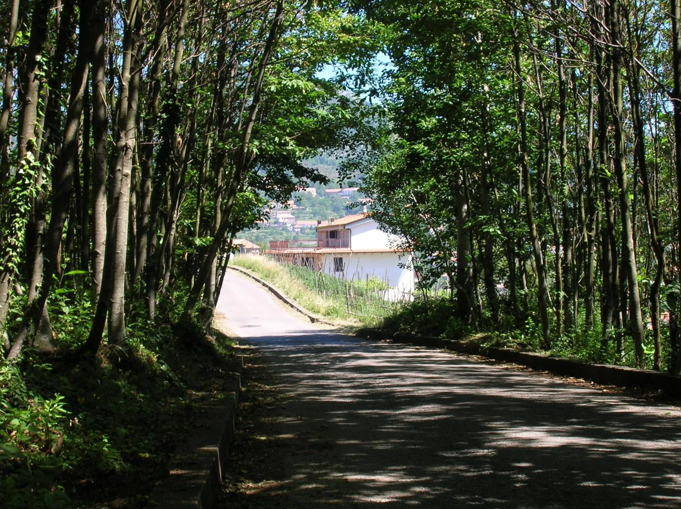 Area and facilities in Casa Pendola