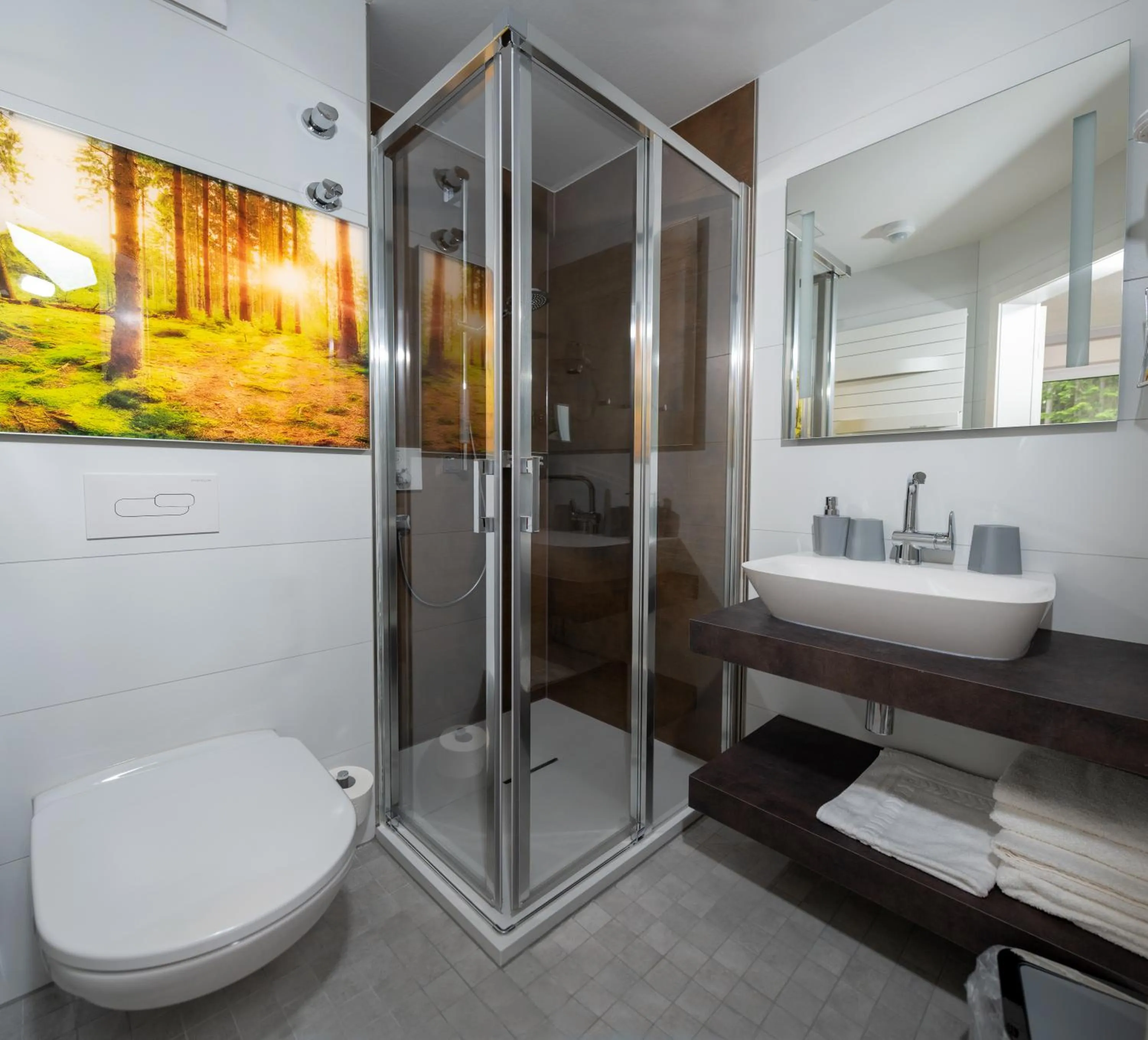 Shower in Waldhotel Ehrental