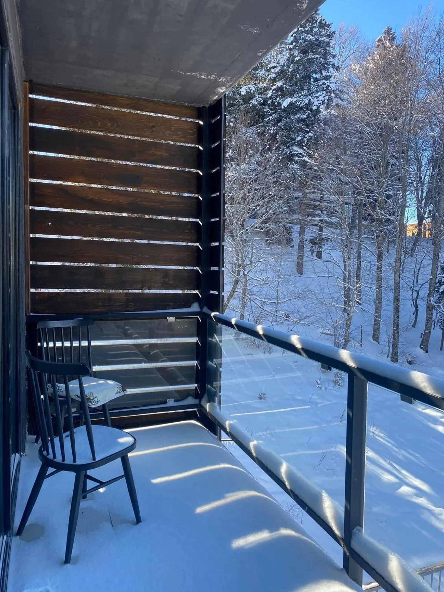 Apartment in Bakuriani