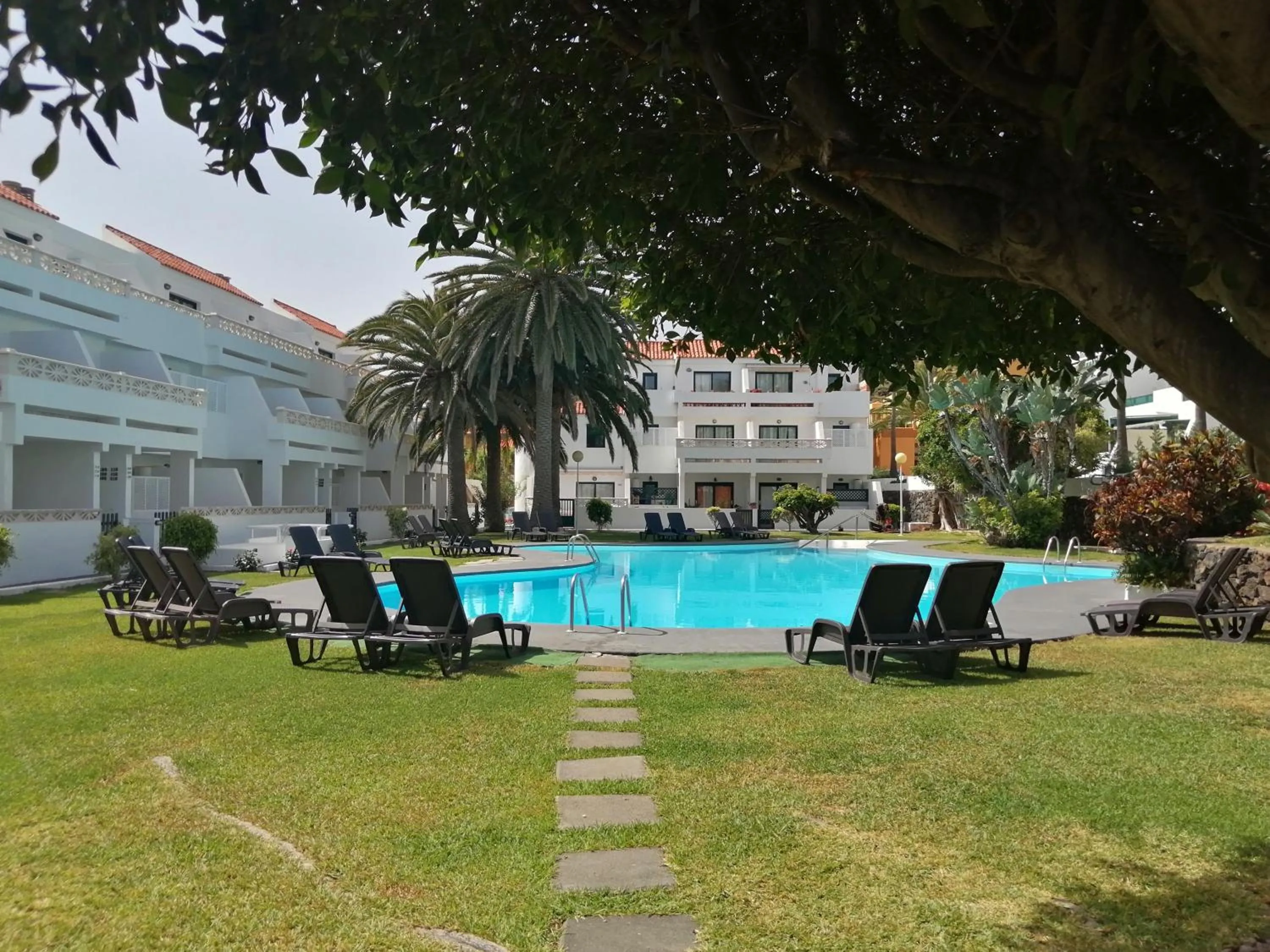 Swimming pool in Apartamentos Los Rosales