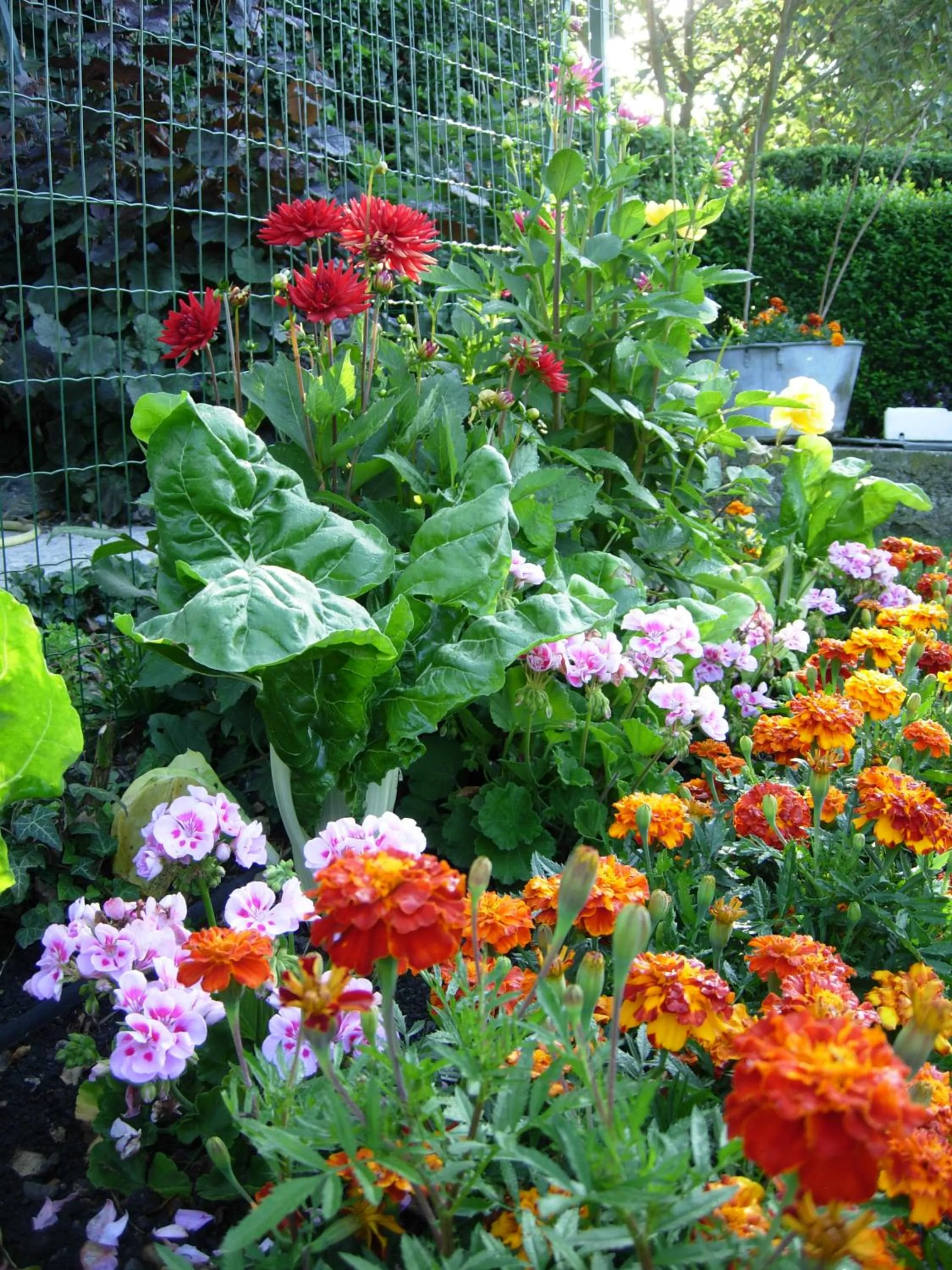 Garden in Logis Hotel & Restaurant La Paix