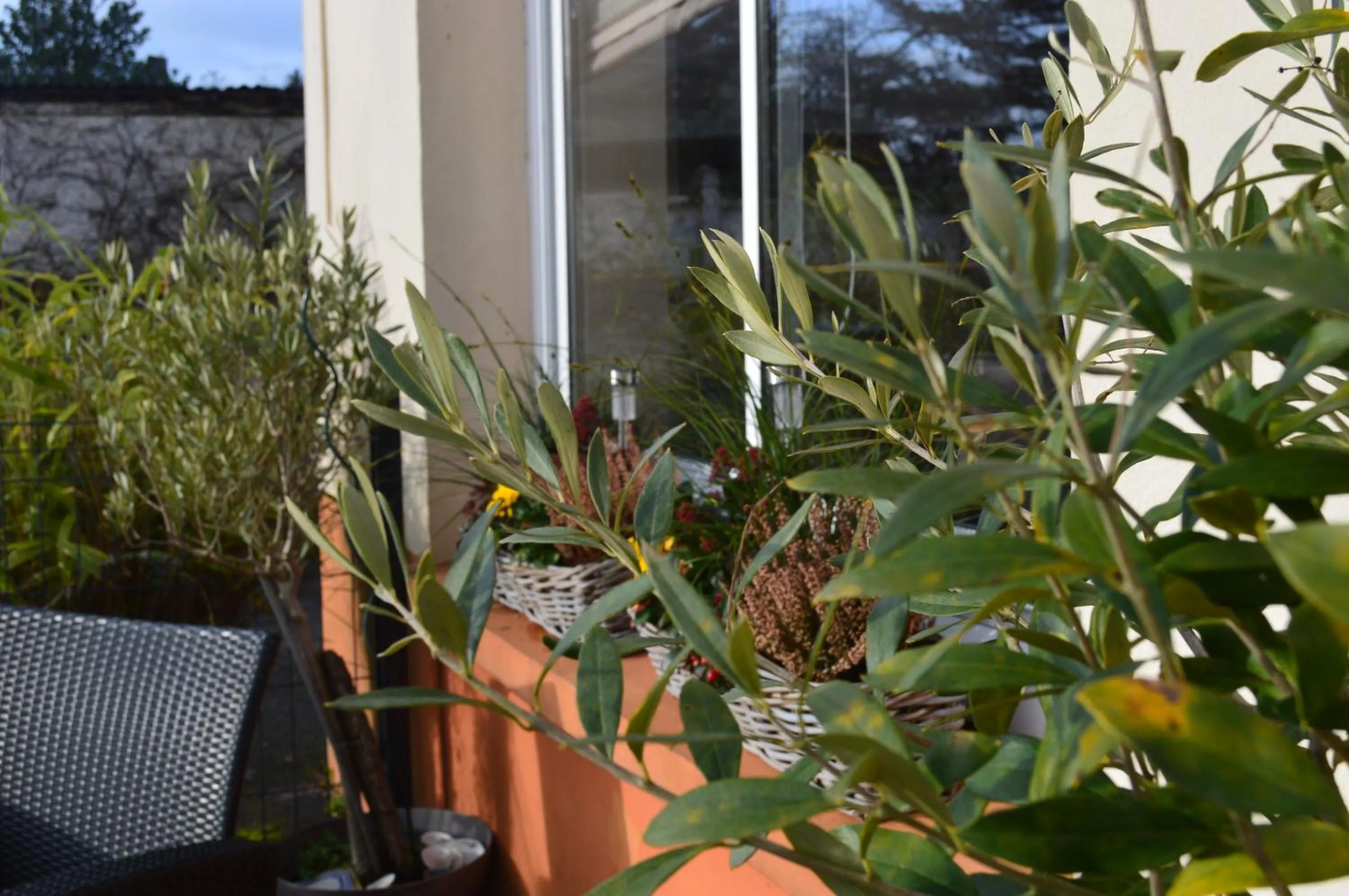 Logis Hotel & Restaurant La Paix