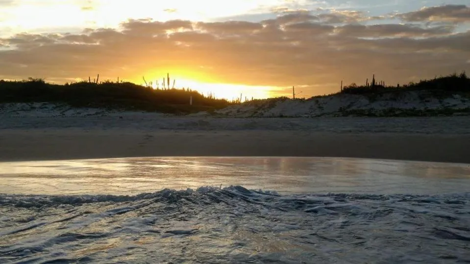 Natural landscape in Suites PRISCO BEACH