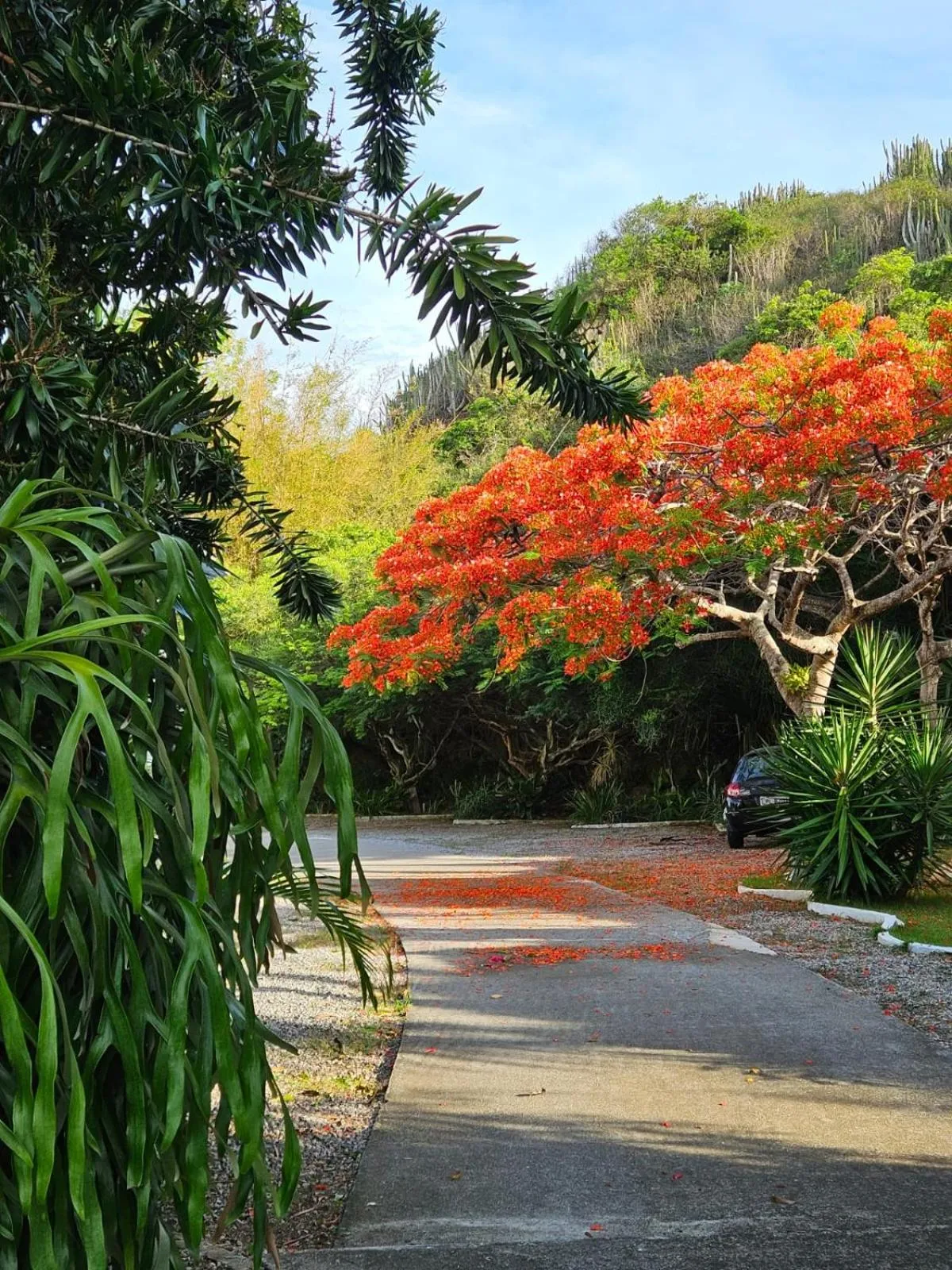 Pousada Recanto Das Emerências