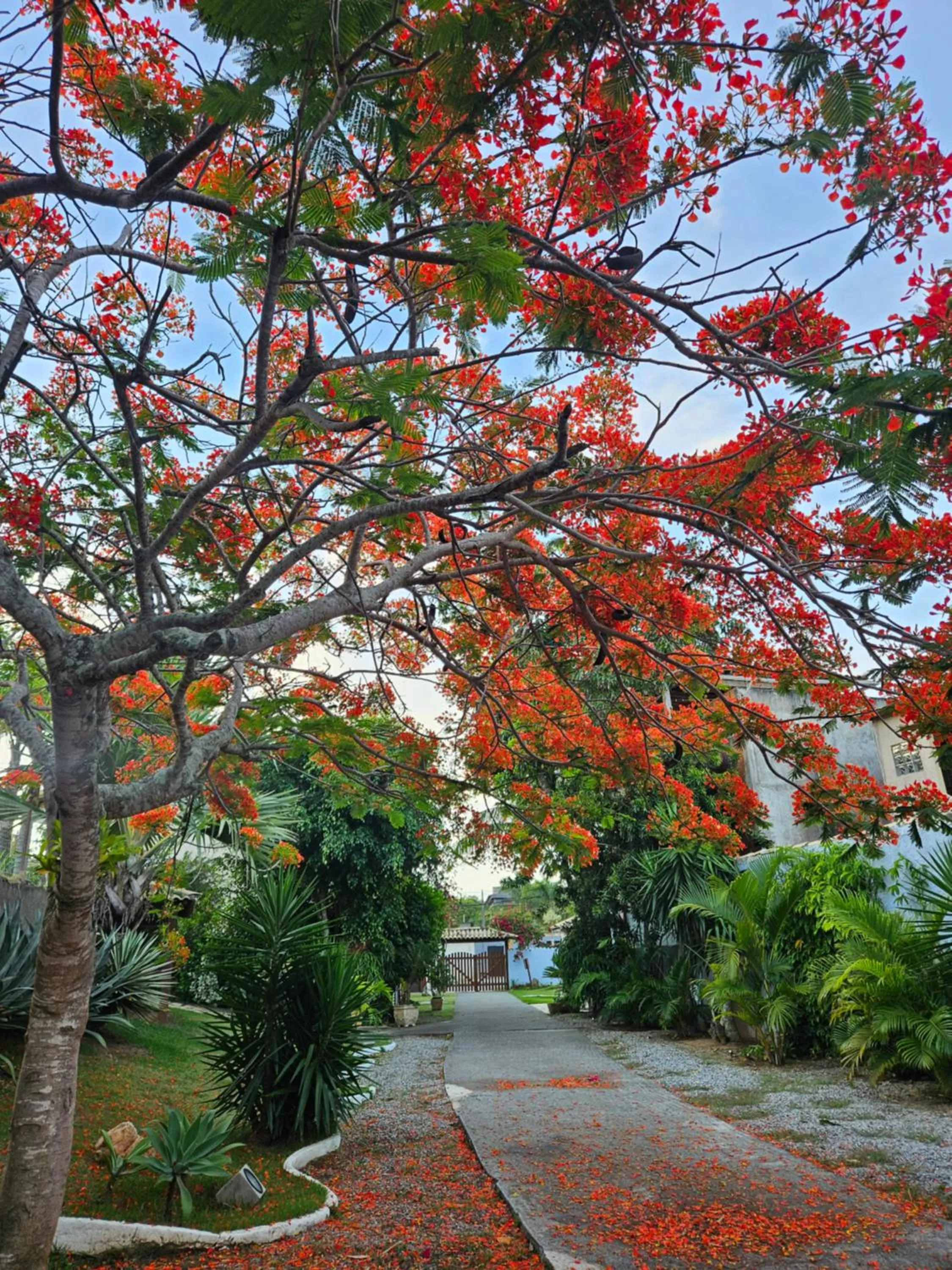 Pousada Recanto Das Emerências