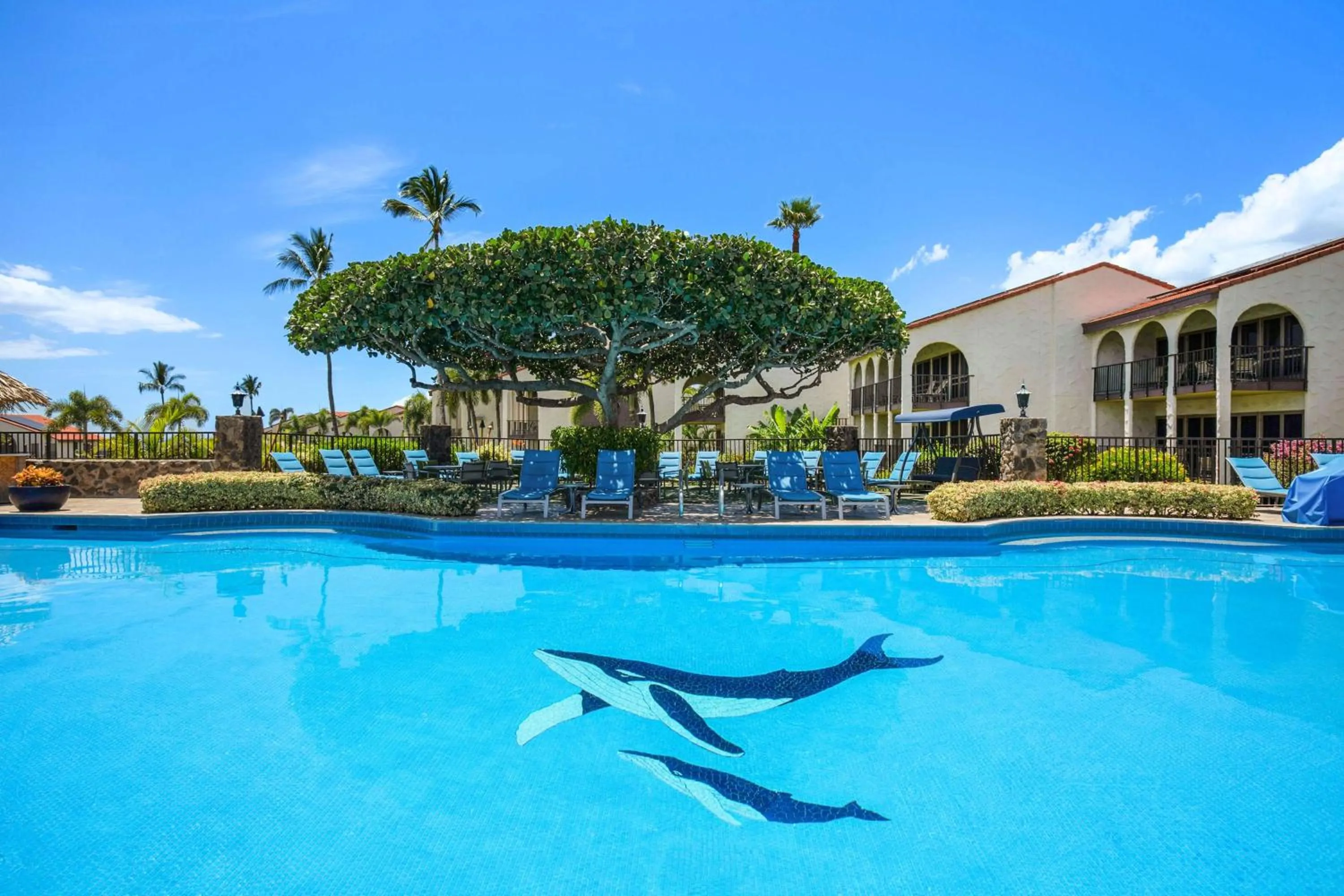 Day in Aston Maui Hill