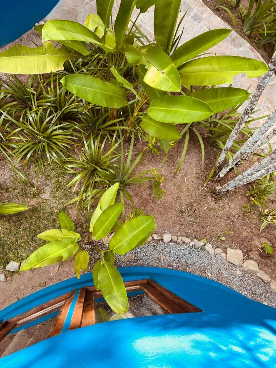 Natural landscape in Pousada Jacarandá