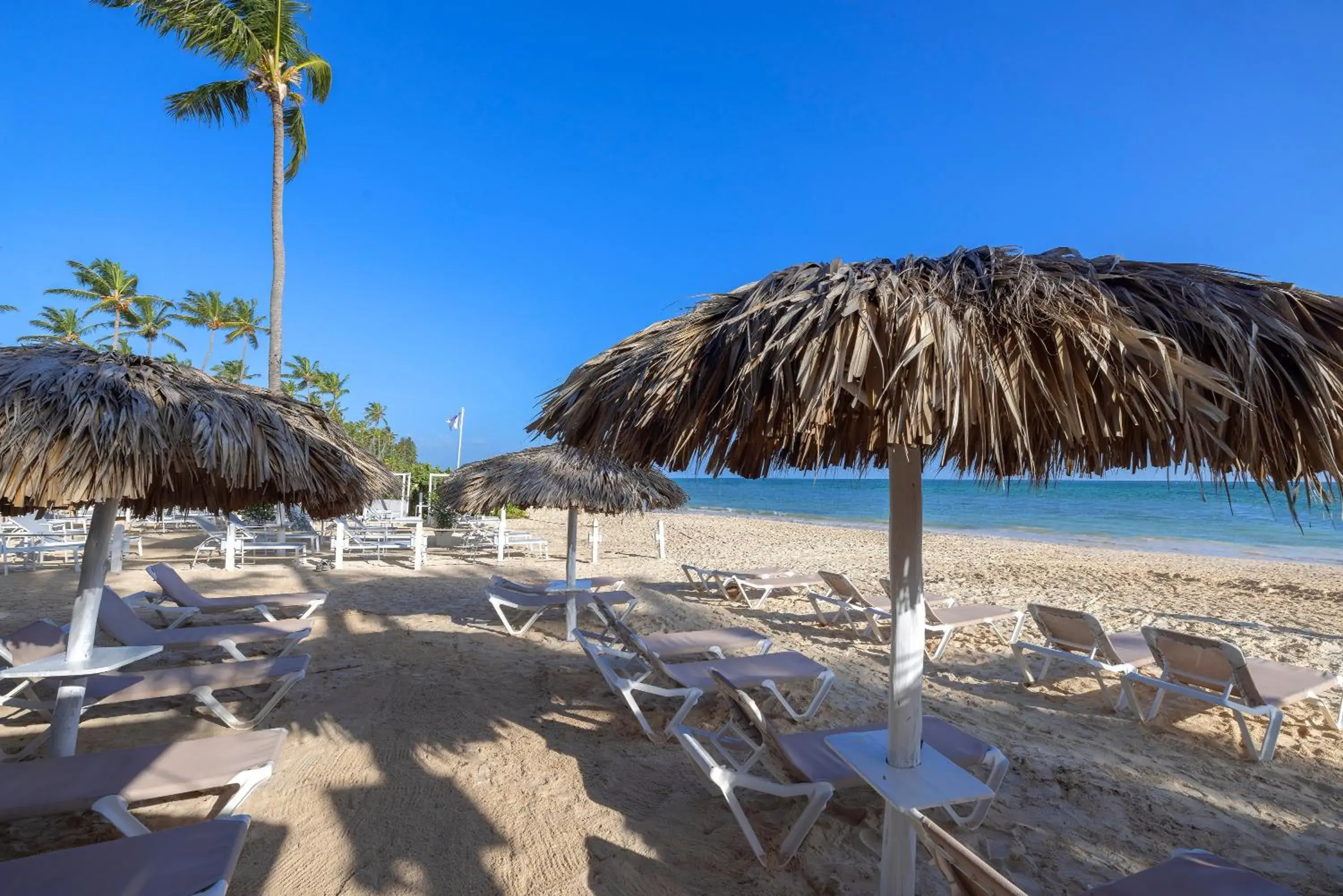 Beach in Hotel whala!bávaro - All Inclusive Beach in Hotel whala!bávaro - All Inclusive