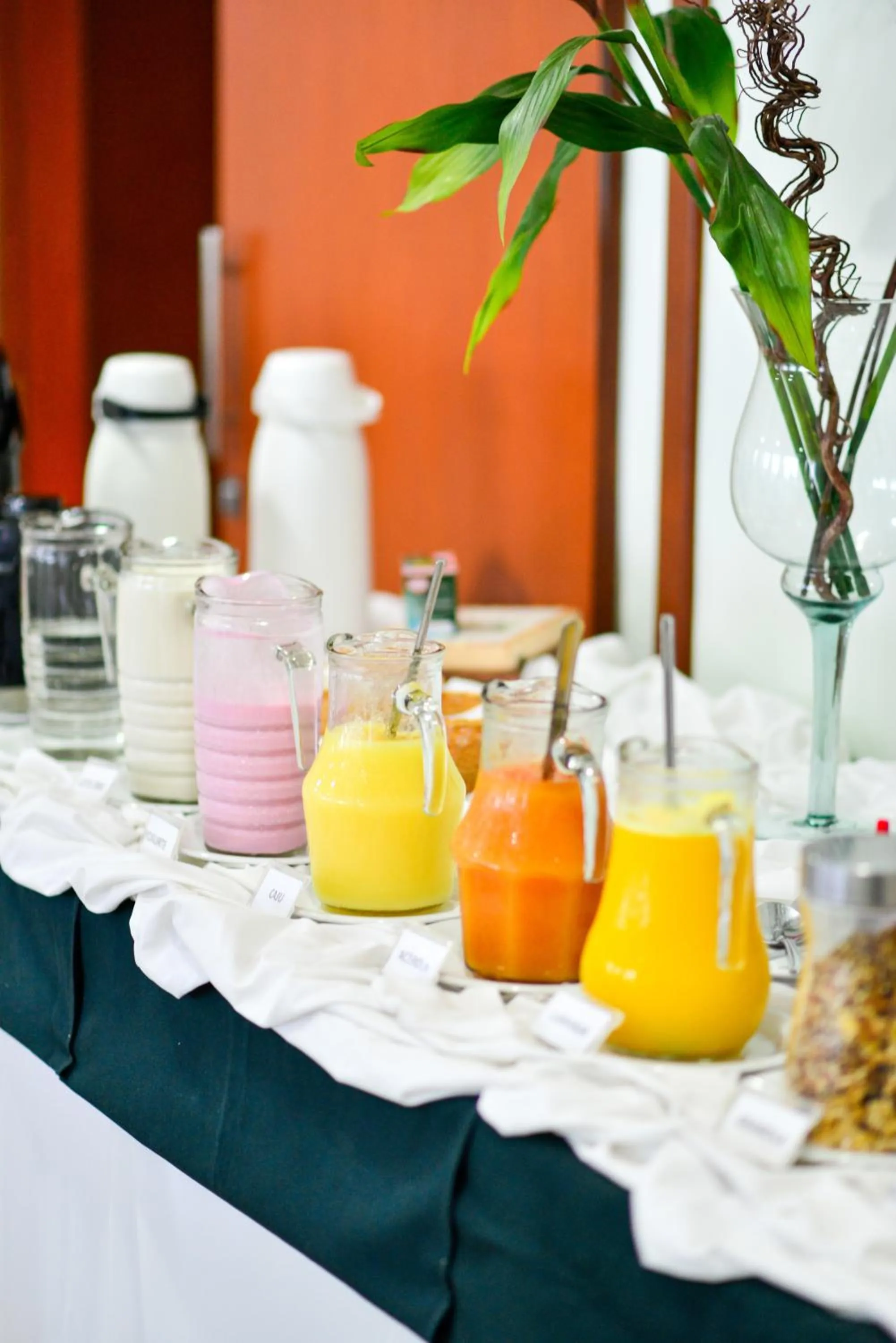 Non alcoholic drinks in Hotel Plaza Mar