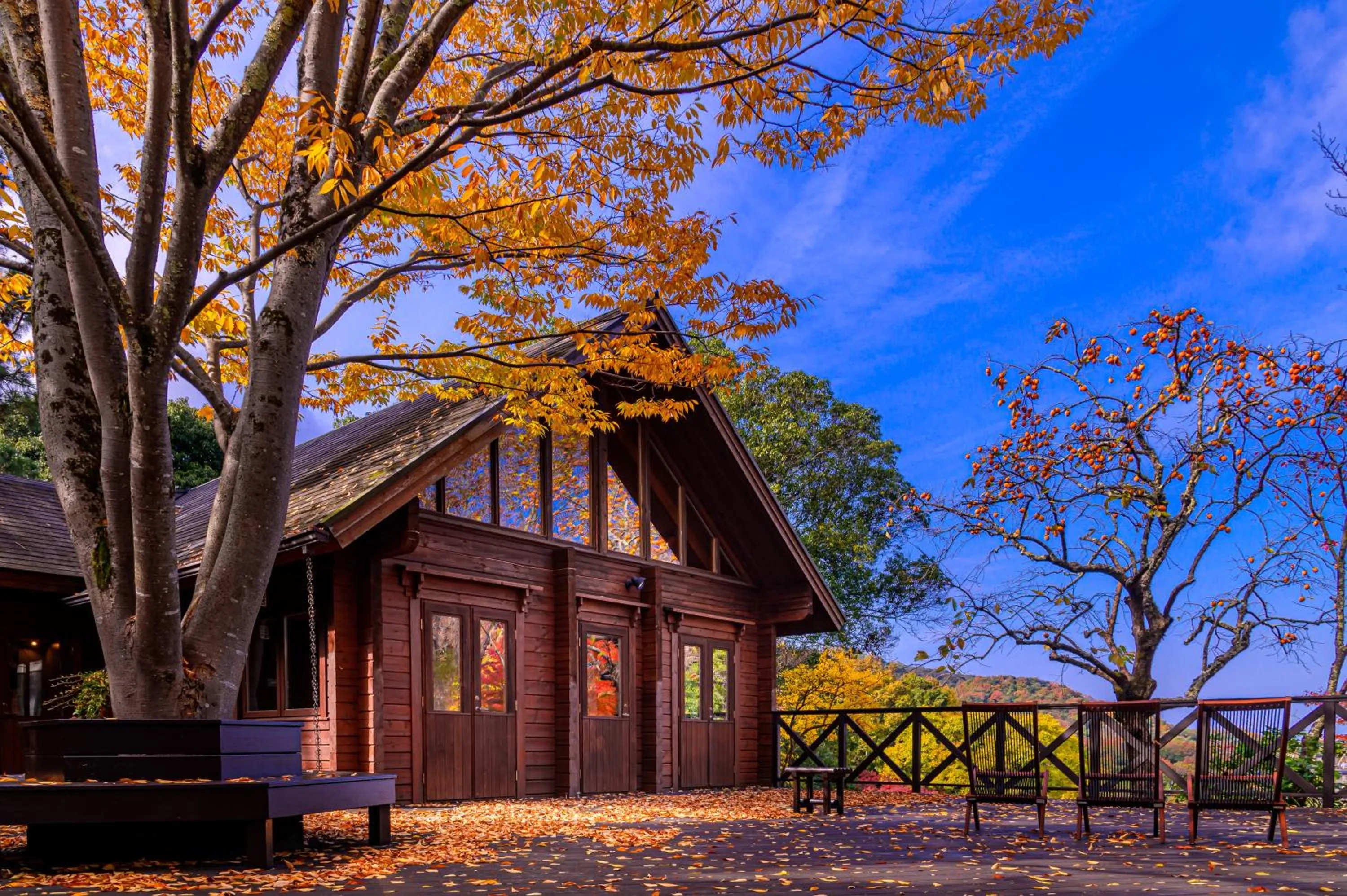 Restaurant/places to eat in Motoyu Kosenkaku