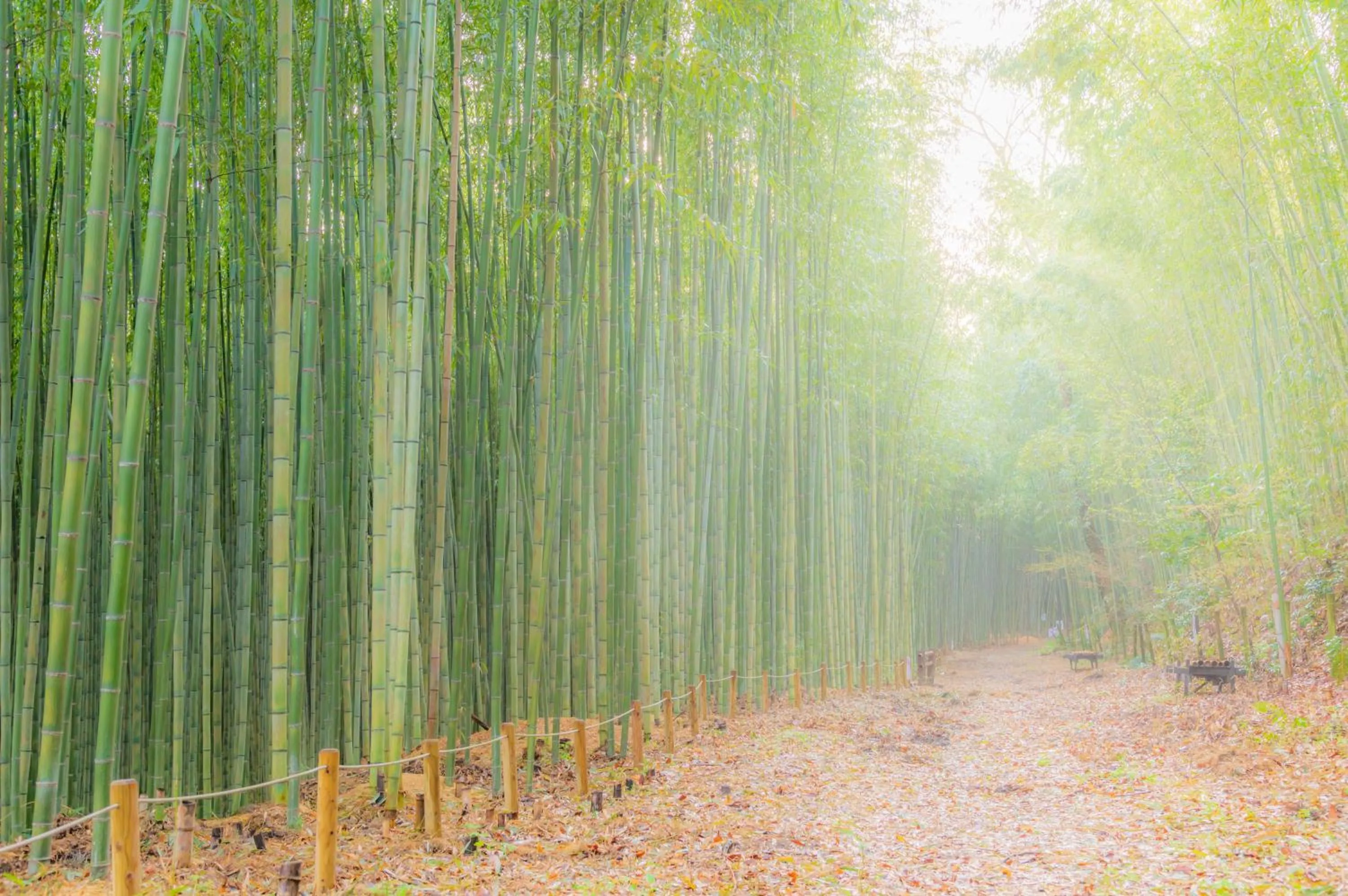 Off site in Motoyu Kosenkaku