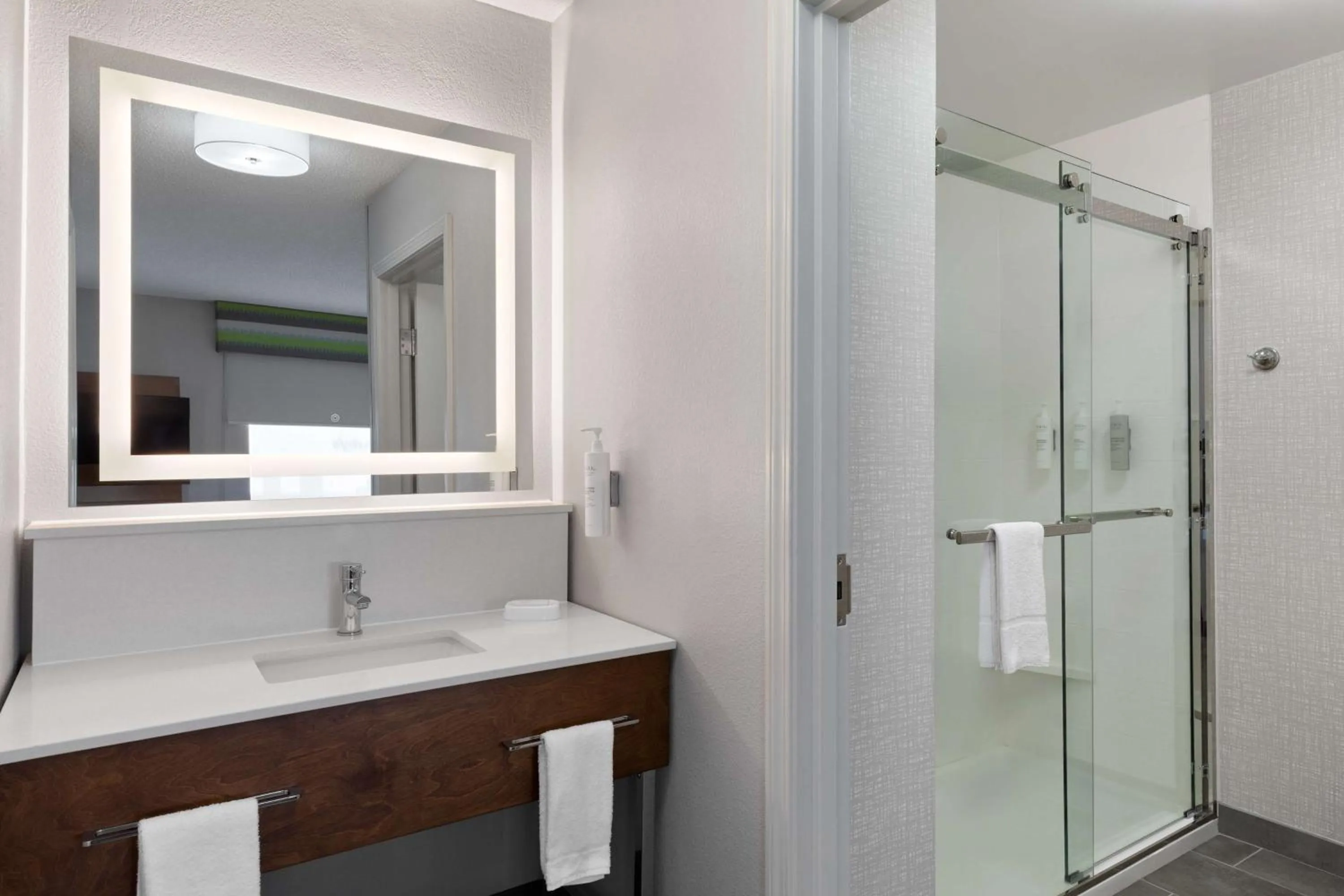 Bathroom in Hampton Inn & Suites Dothan