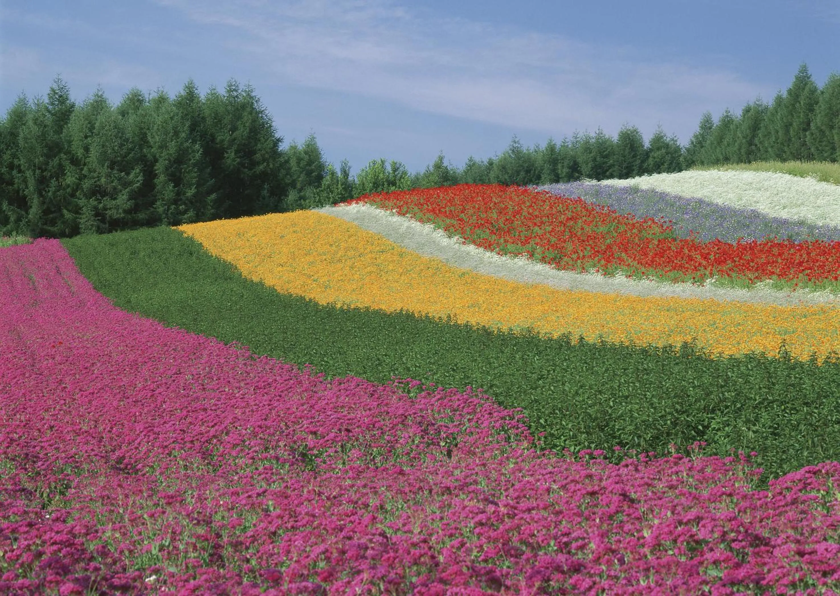 Spring in Hotel Sunfuraton
