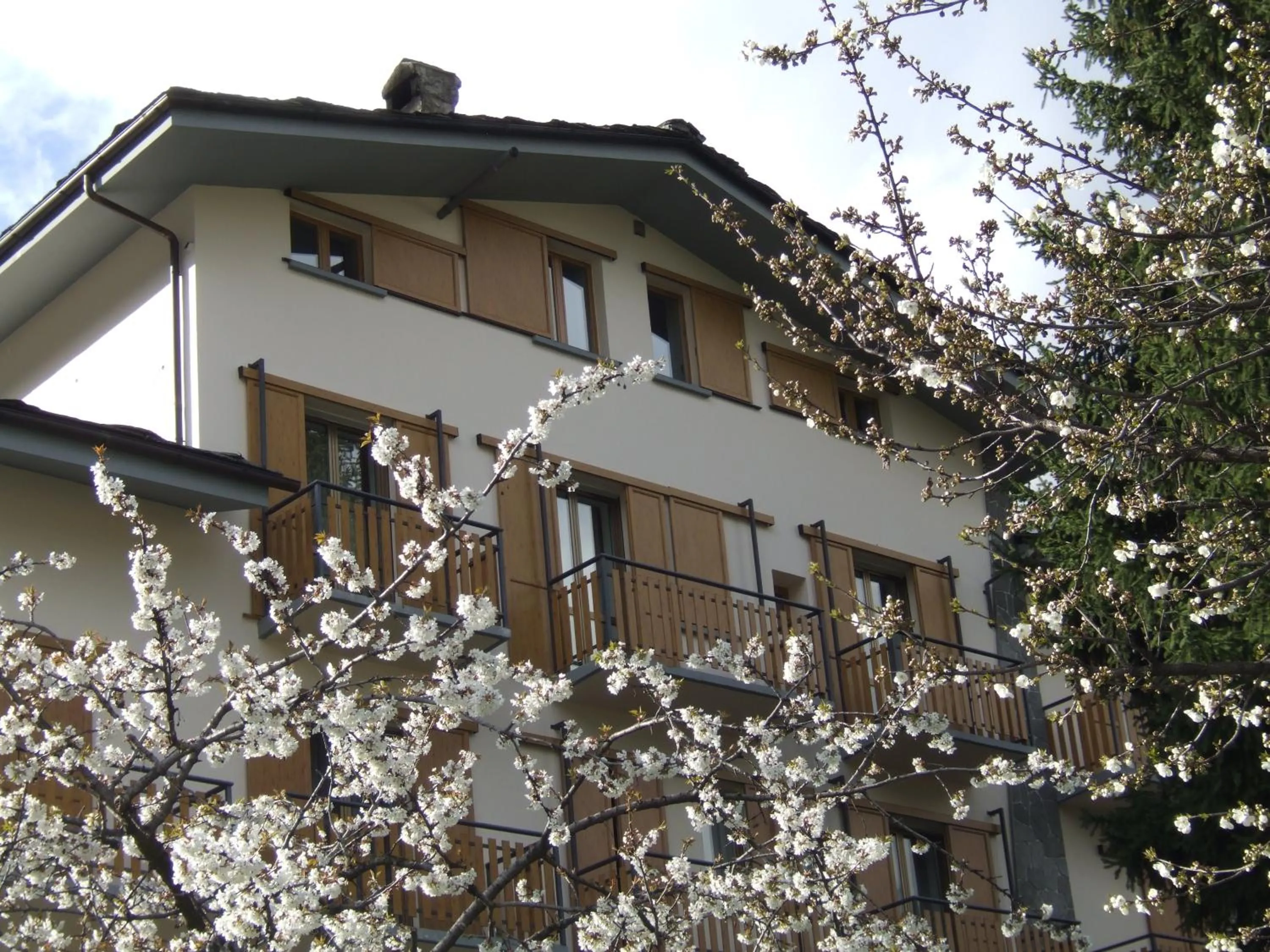 Hotel Valdigne