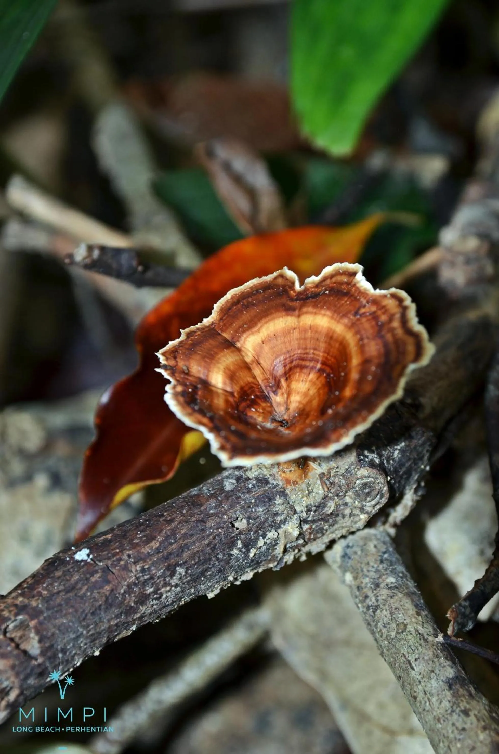 Natural landscape in Mimpi Perhentian