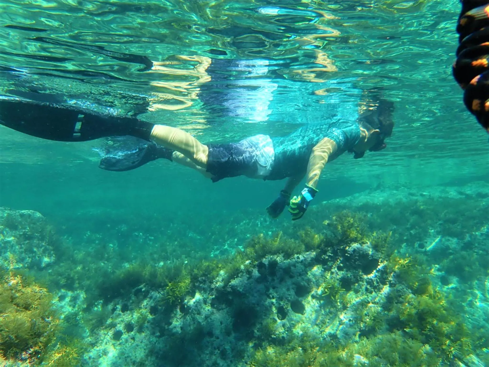 Snorkeling in Sado Resort Hotel Azuma