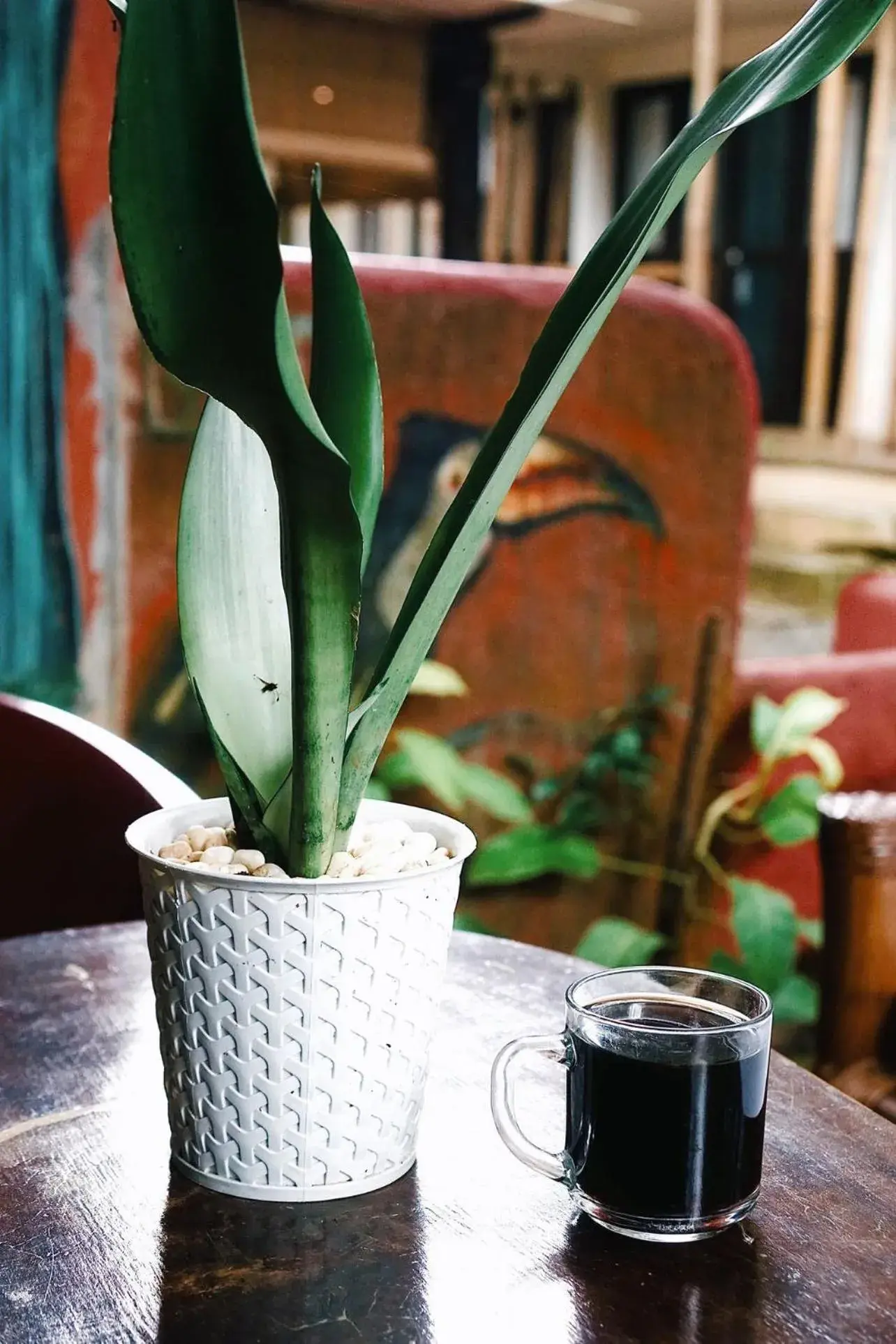 Lobby or reception in Lazy Dog Bed & Breakfast Lobby or reception in Lazy Dog Bed & Breakfast