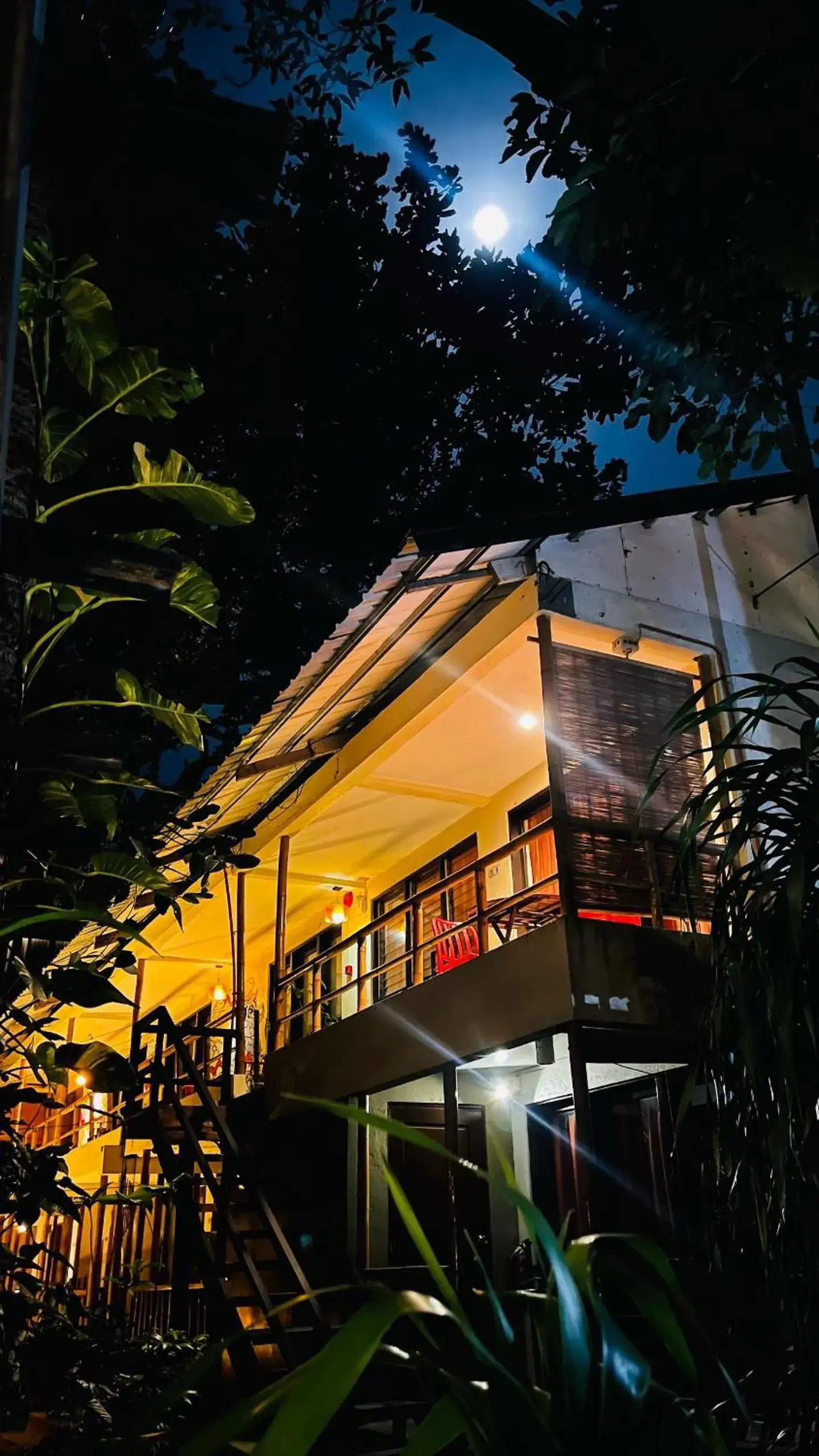 Property building in Lazy Dog Bed & Breakfast Property building in Lazy Dog Bed & Breakfast