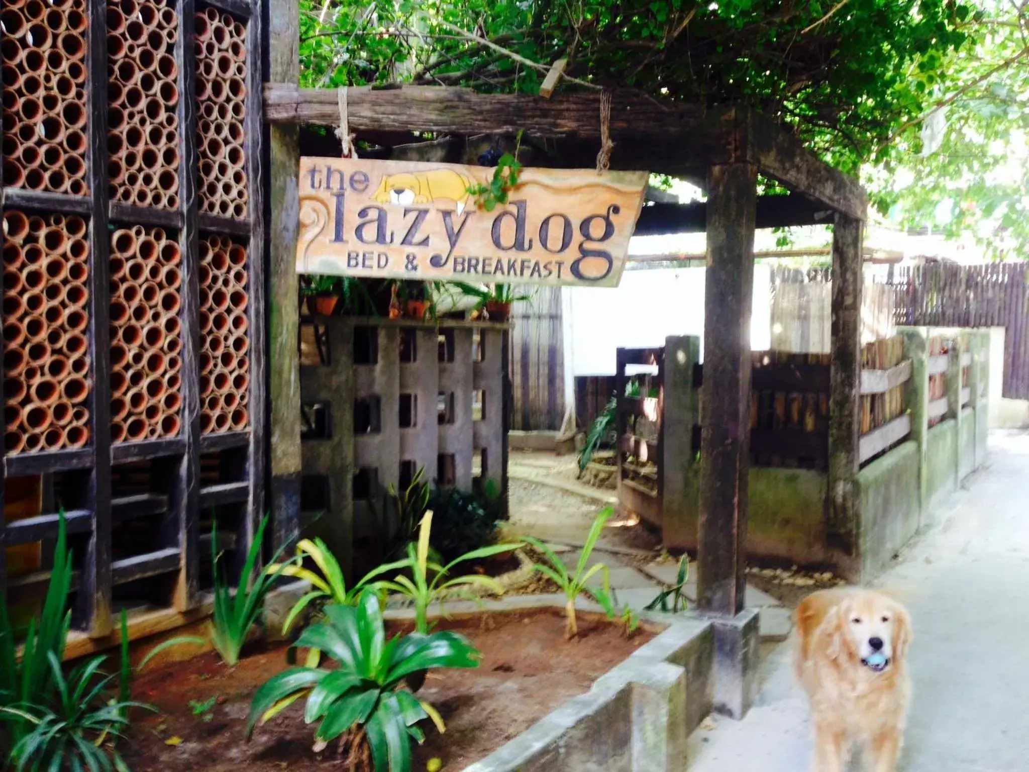 Facade/entrance in Lazy Dog Bed & Breakfast Facade/entrance in Lazy Dog Bed & Breakfast