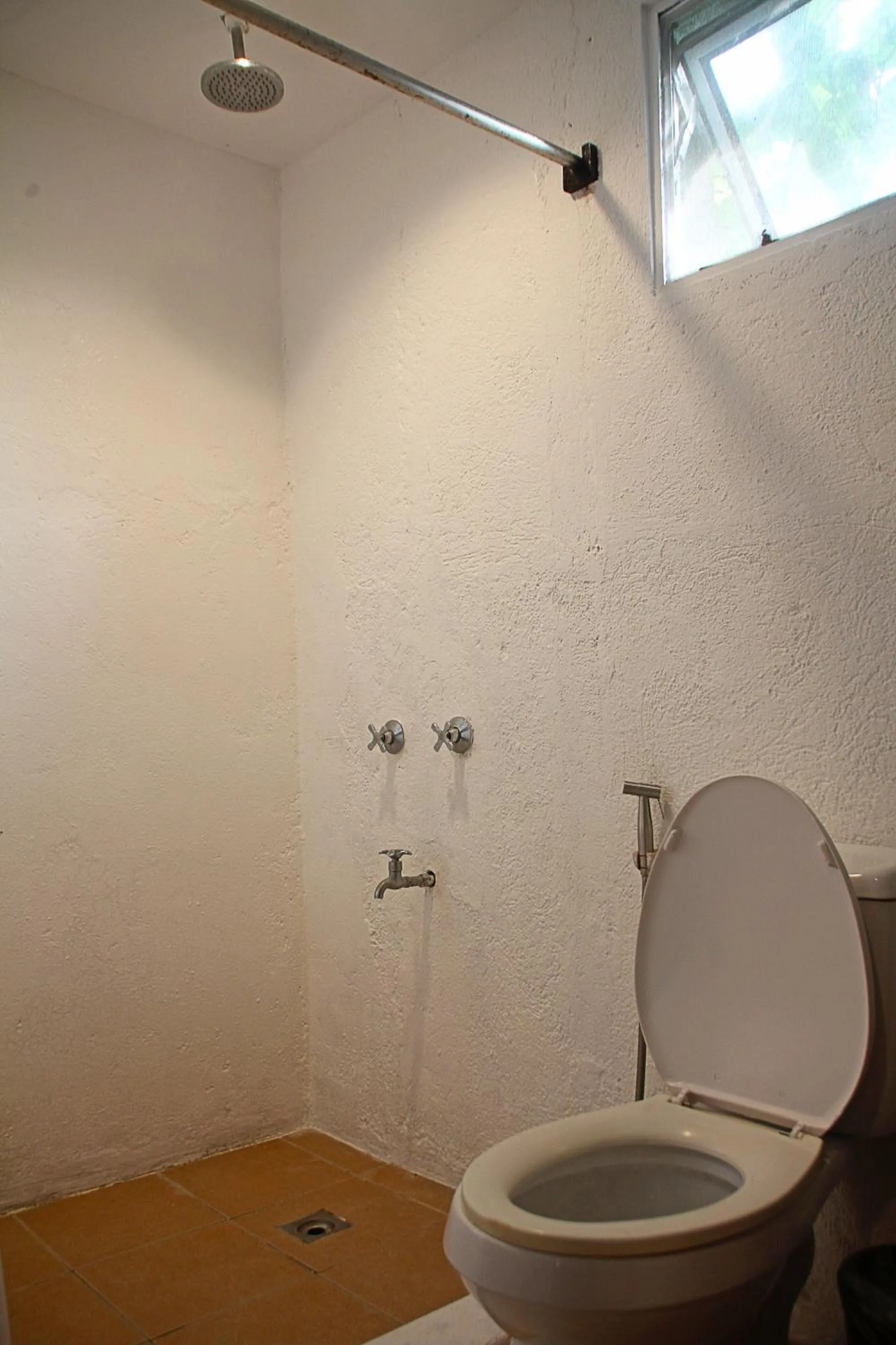 Shower in Lazy Dog Bed & Breakfast