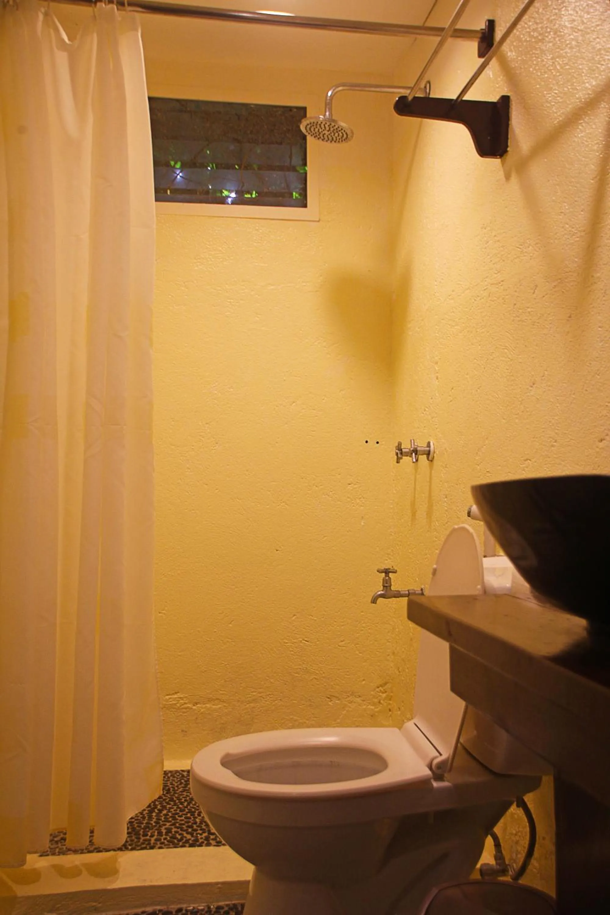 Lazy Dog Bed & Breakfast