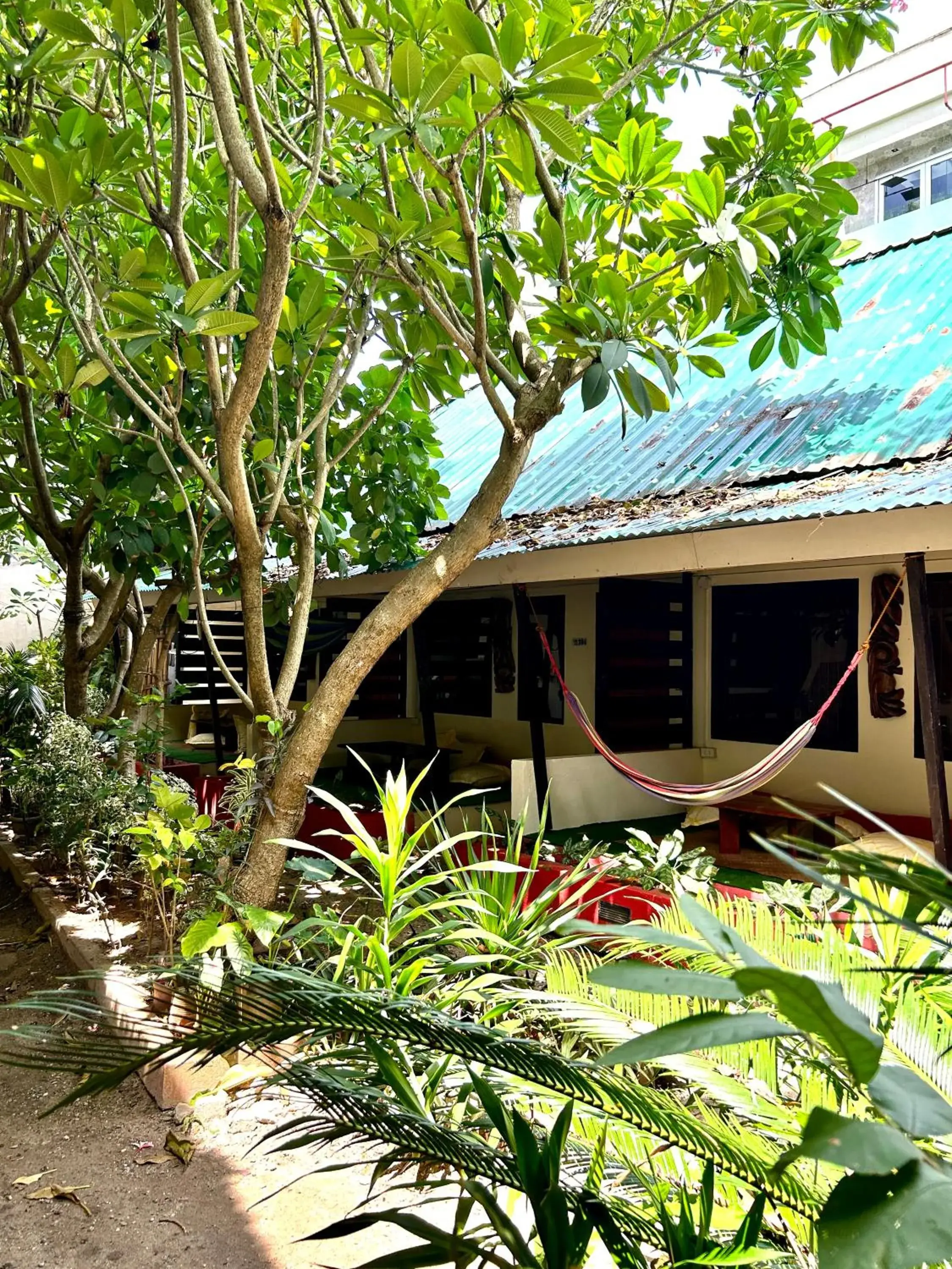 Property building in Lazy Dog Bed & Breakfast Property building in Lazy Dog Bed & Breakfast